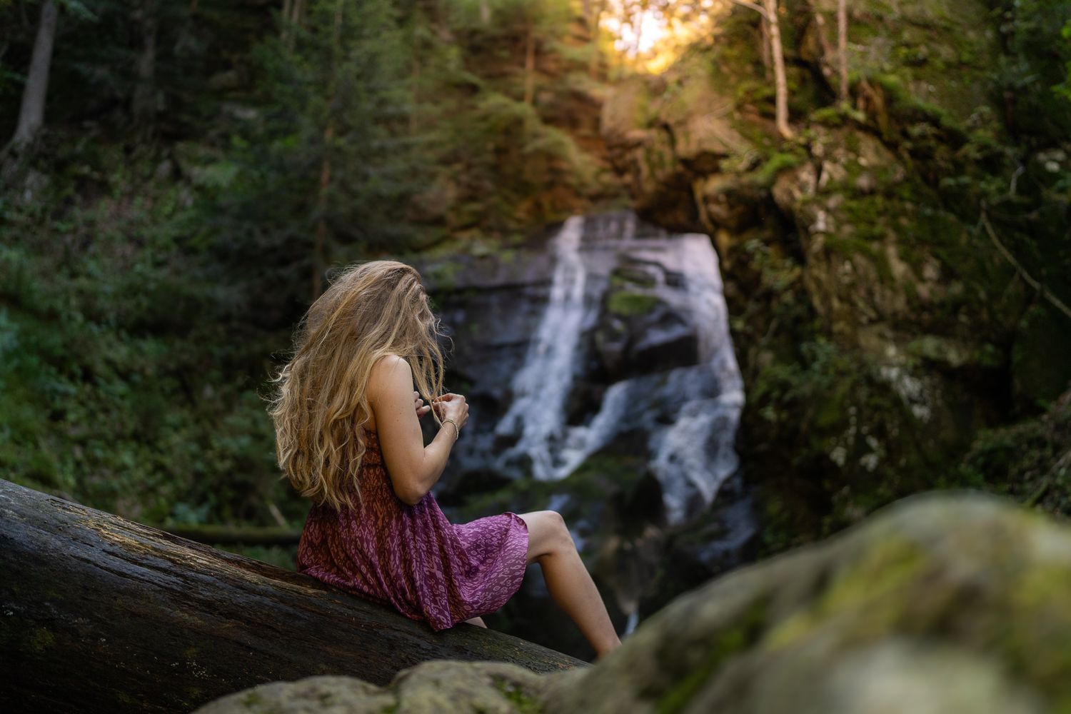 Forest waterfall scene with moss-covered rocks and evening sunlight.