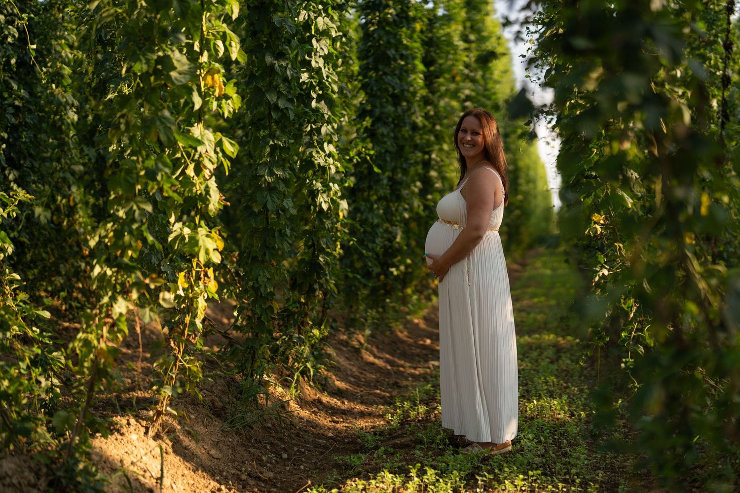 Garden pathway with sunlight filtering through hanging green vines and leaves.