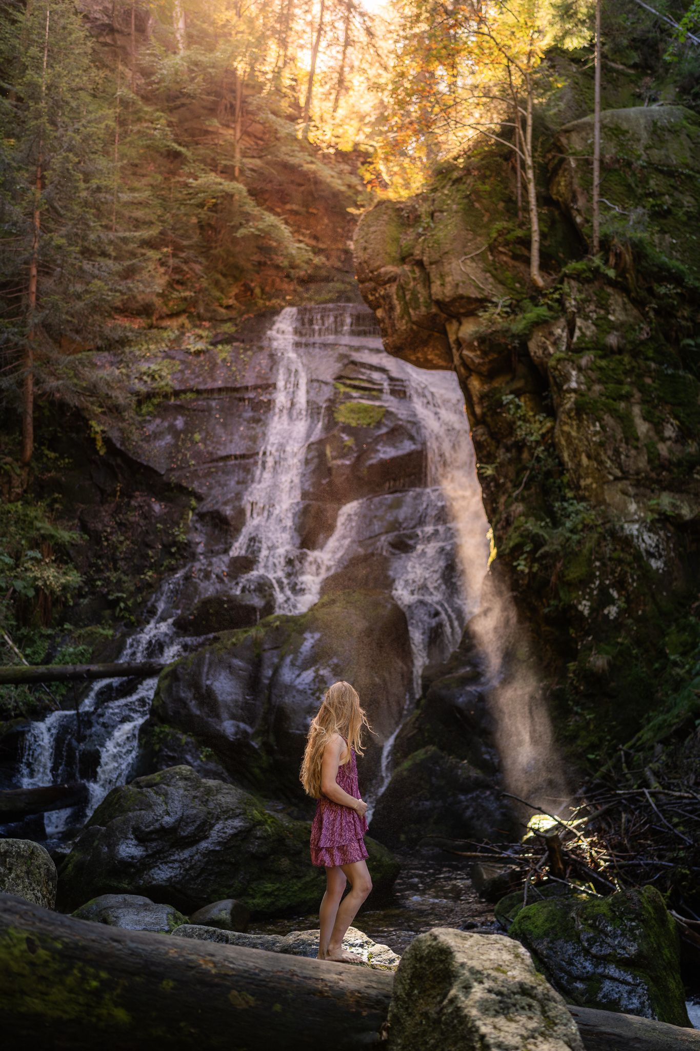 Dramatic forest waterfall with golden sunlight streaming through trees.