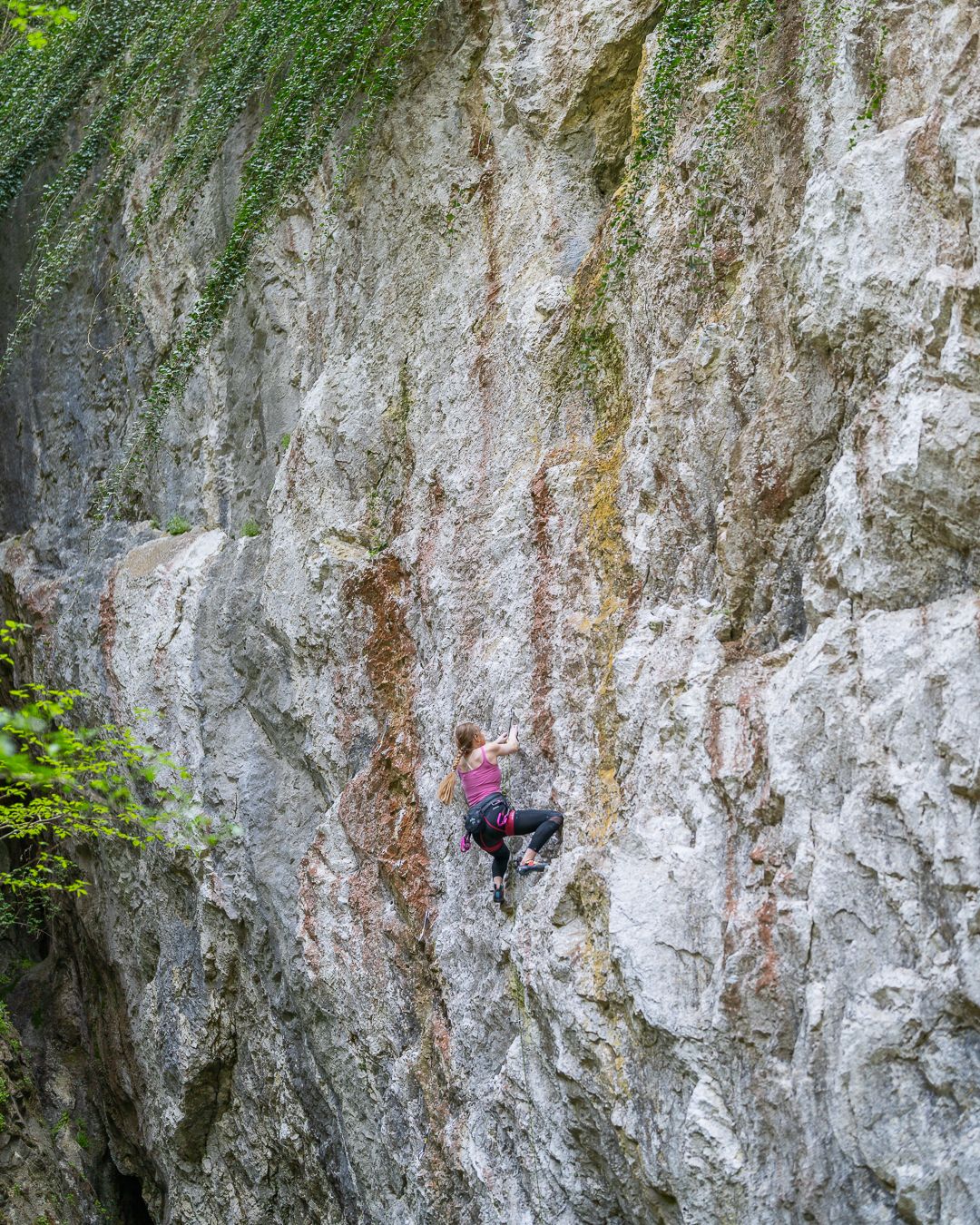 Rock climber navigating a vertical limestone cliff with vegetation growing along the edges.