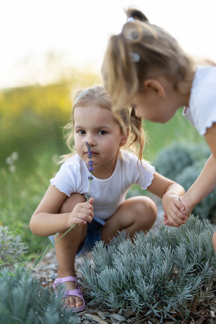 Two young girls in white shirts explore a lavender field, with one smelling a purple flower sprig outdoors.