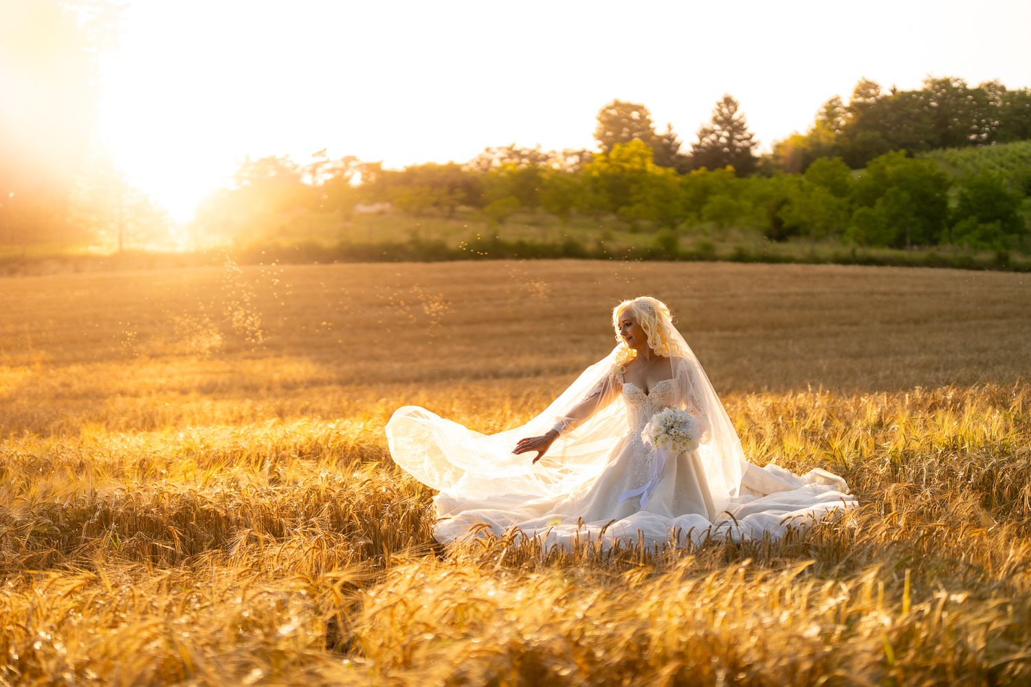 Panoramic view of bride posing in sun-drenched wheat field at golden hour.
