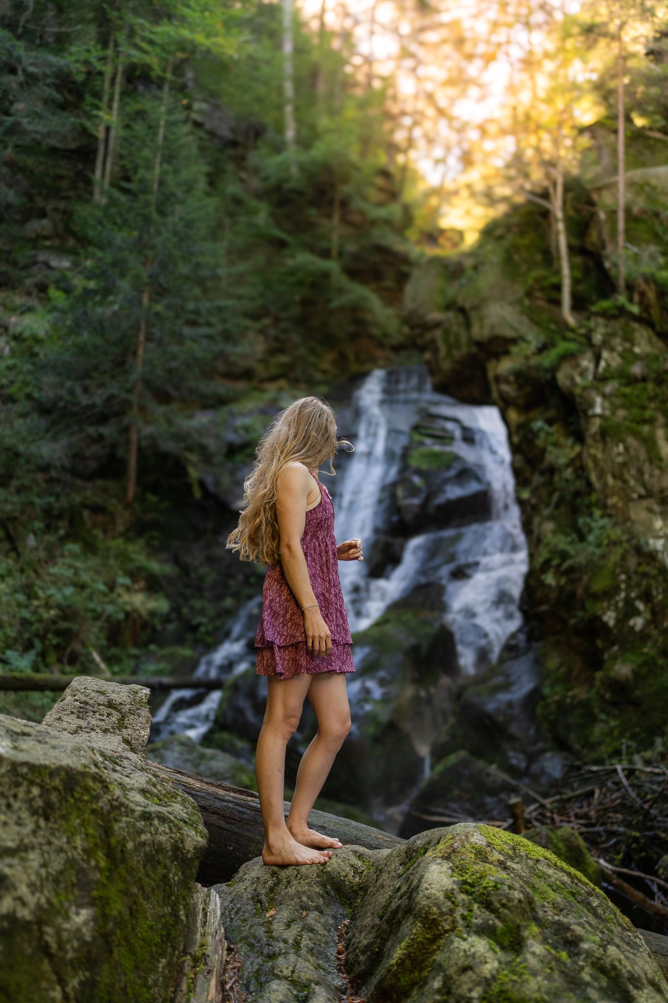 Scenic waterfall in forest with mossy rocks and golden sunset light.