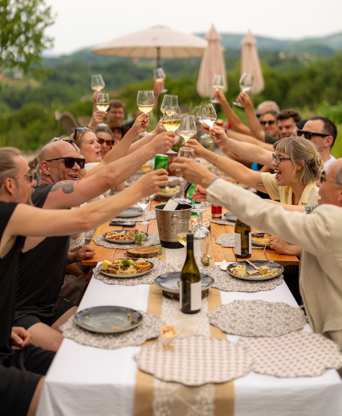 Group of people raising wine glasses in a toast at an outdoor vineyard dinner table with scenic hills backdrop.