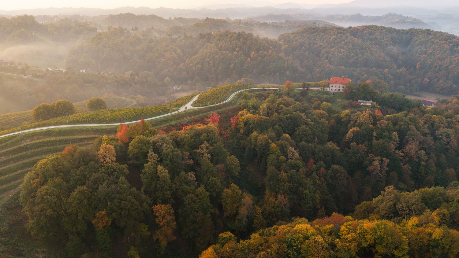 Panoramic view of rolling hills and mountains covered in autumn foliage at sunset.