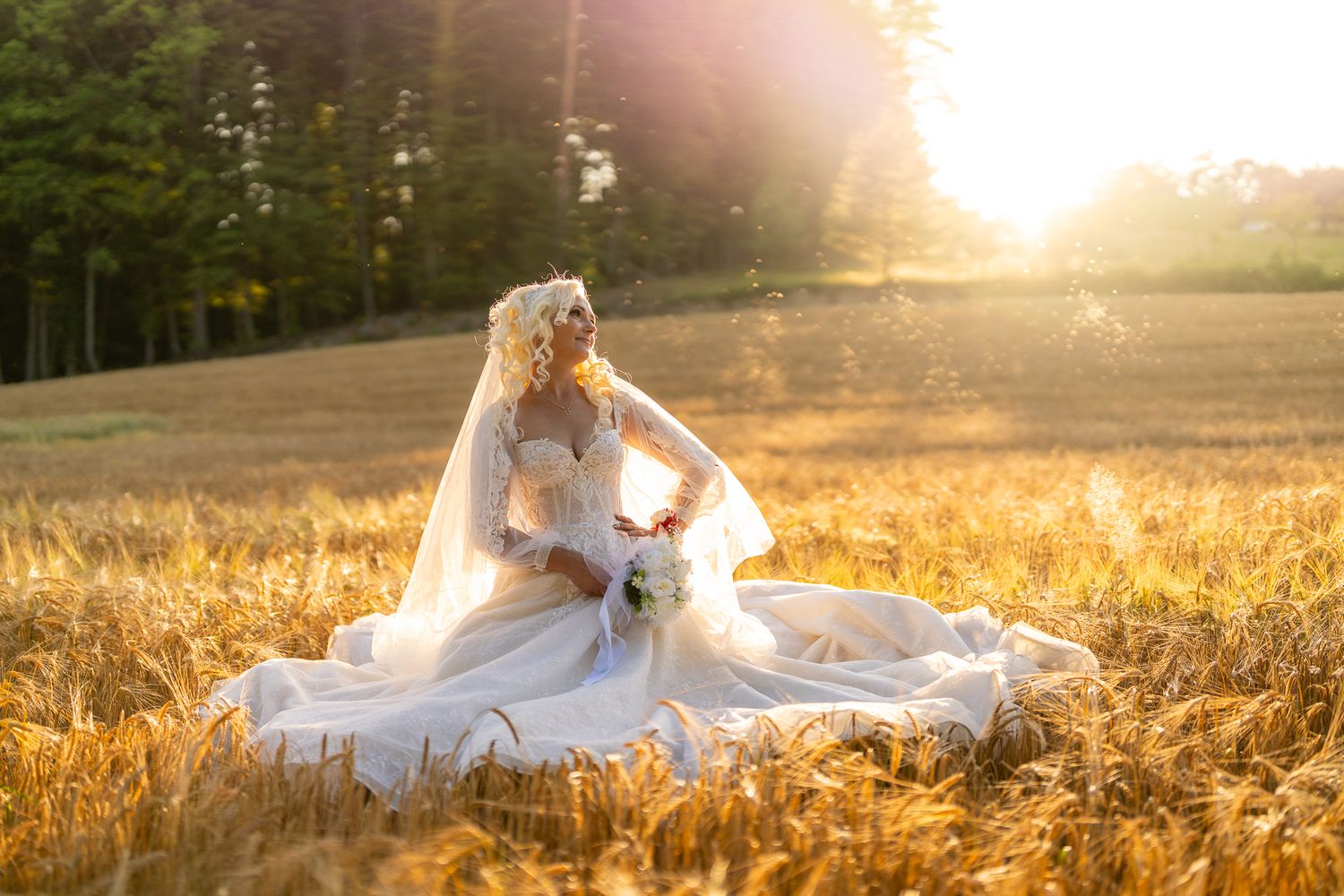 Bride in white dress lying in golden wheat field during sunset creating dreamy atmosphere.