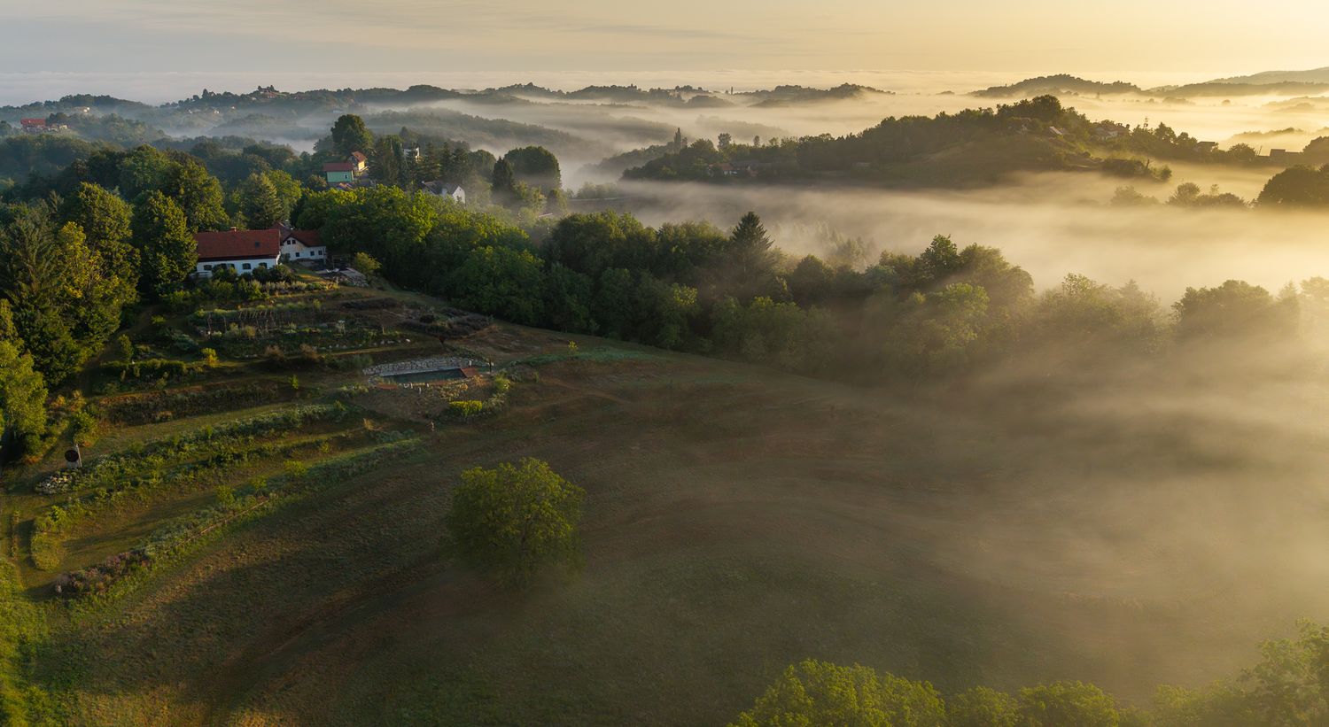 Foggy morning landscape with golden sunlight illuminating hills and distant buildings.