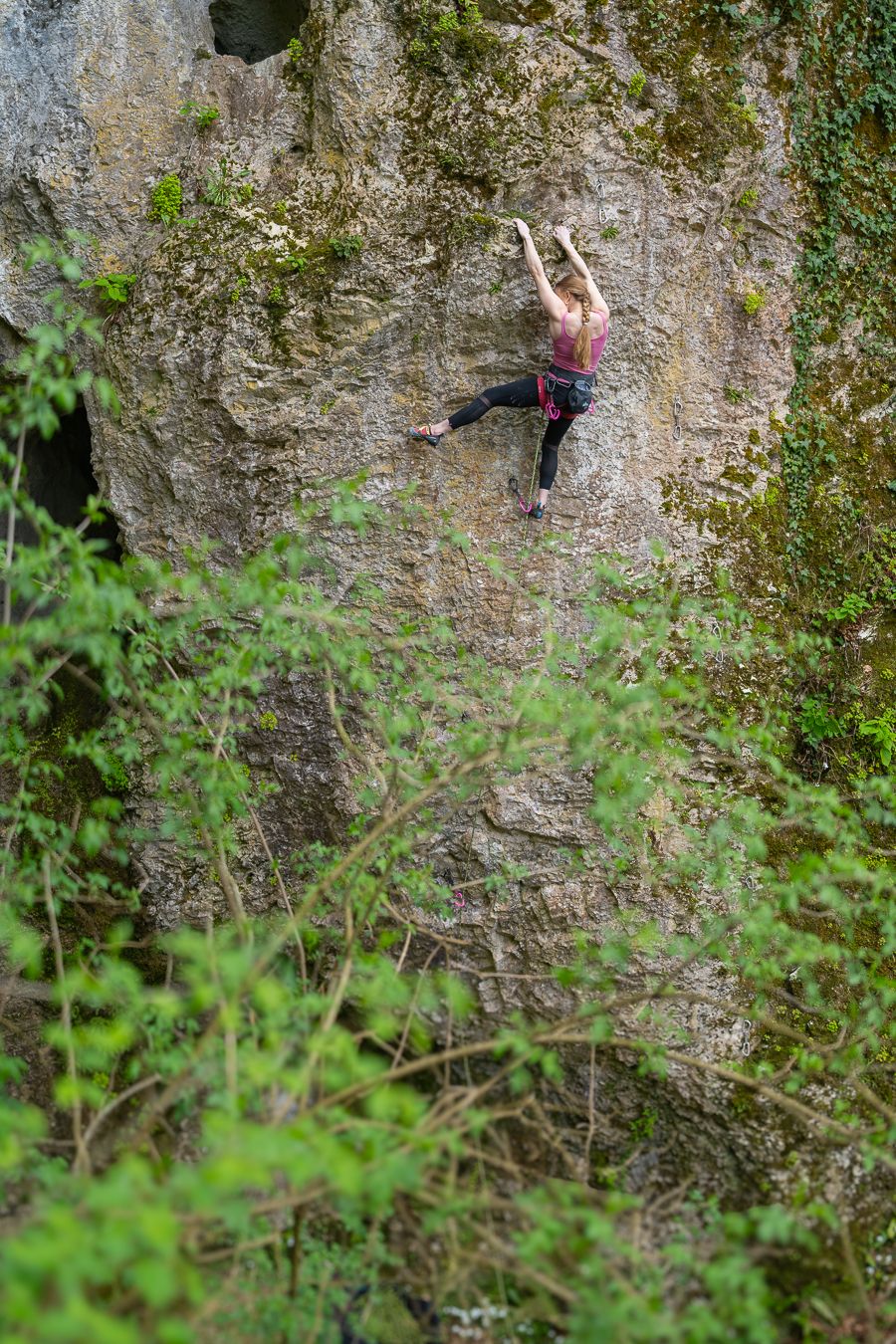 Sport climber ascending a steep limestone wall amidst green vegetation.