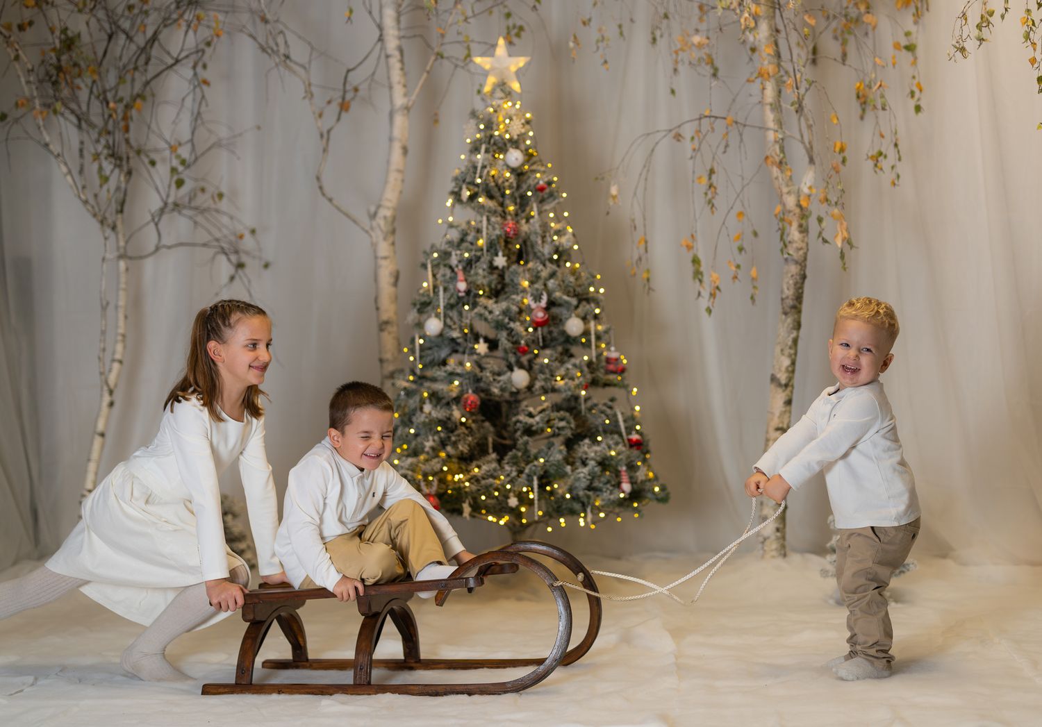 Holiday themed photo session with white birch trees and decorated Christmas tree in studio setting.