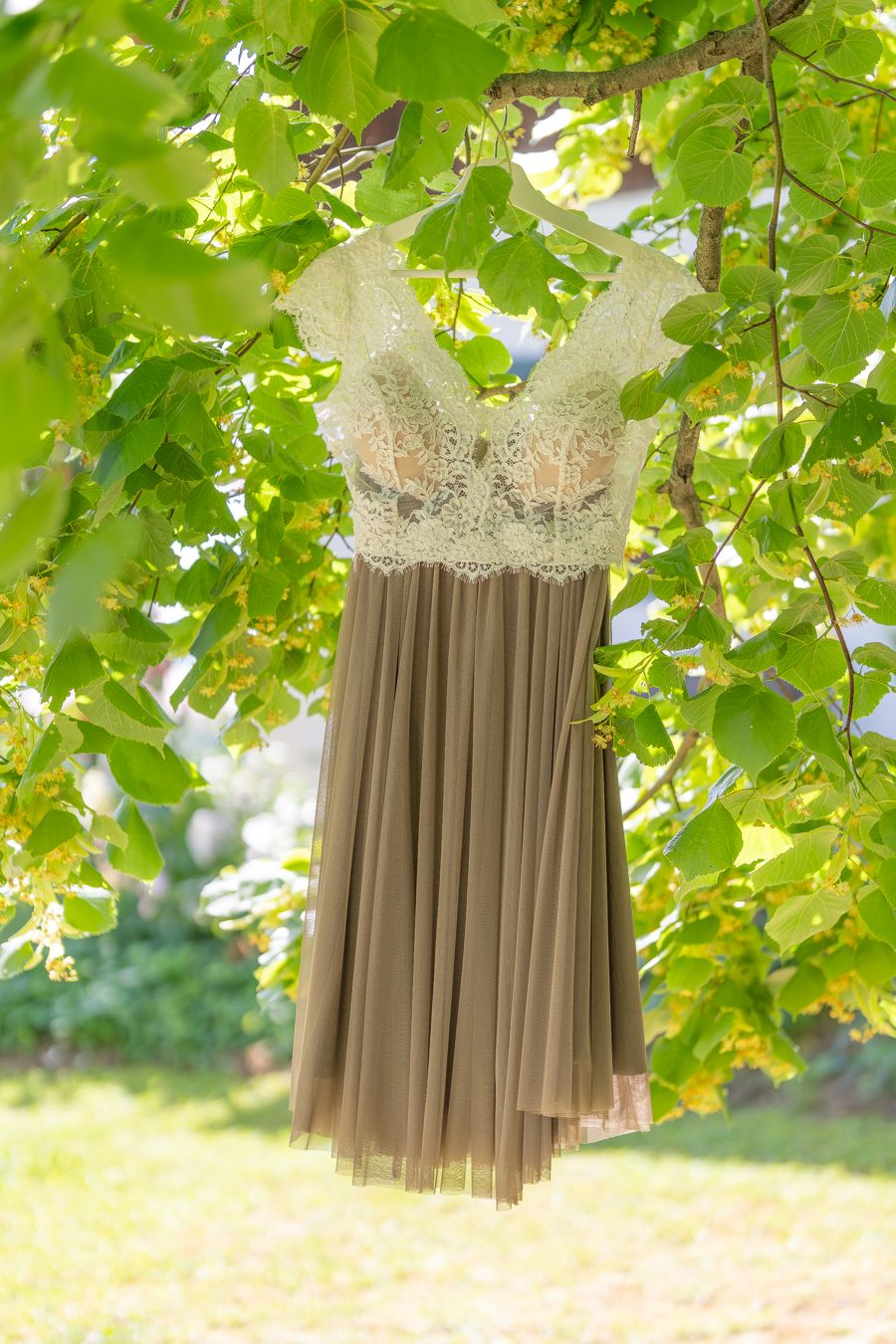 Elegant lace and tulle dress hanging from a sunlit tree branch outdoors.