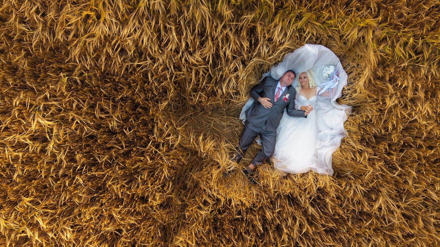Romantic portraits in a golden wheat field during sunset.