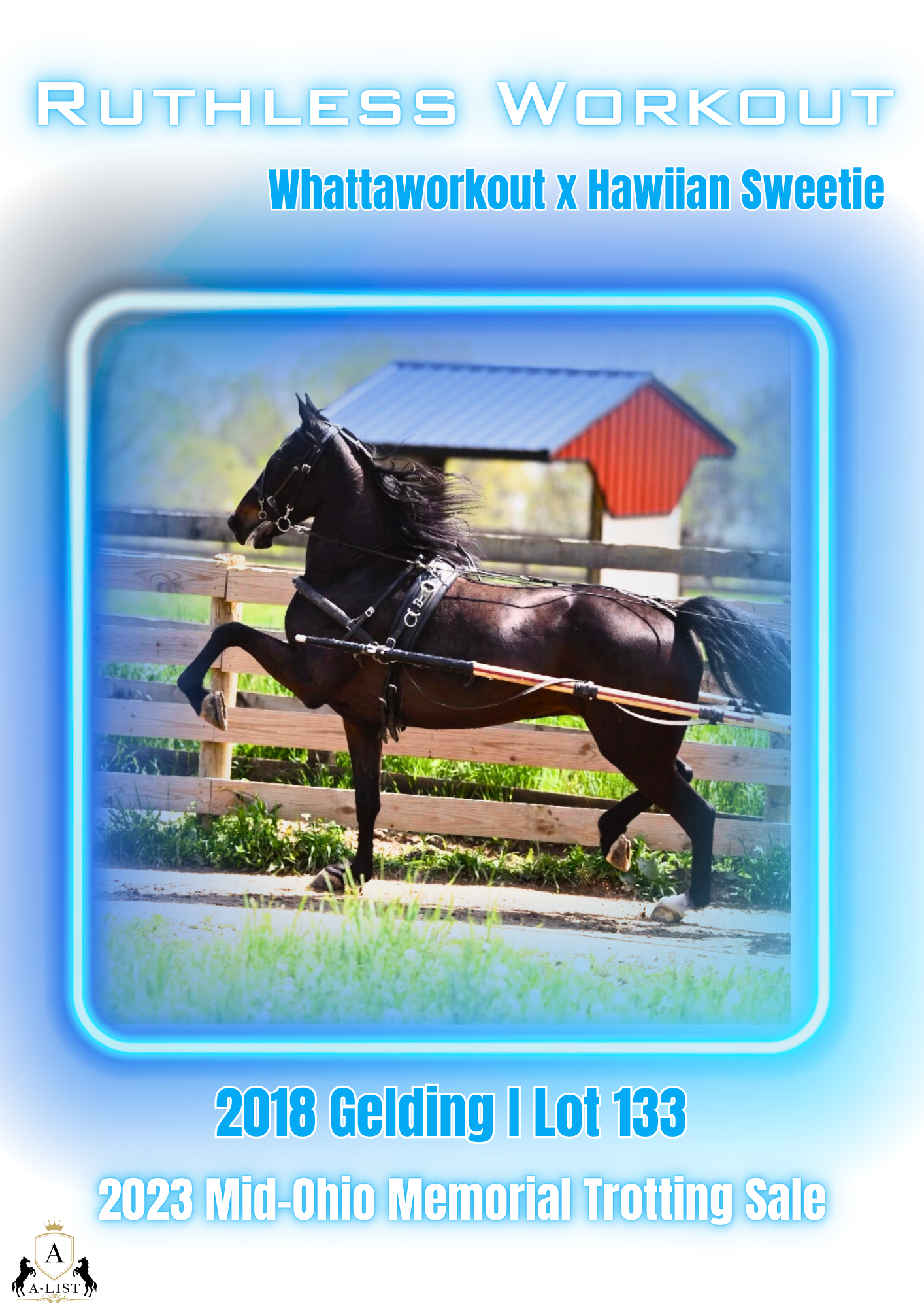 A sale ad of a horse