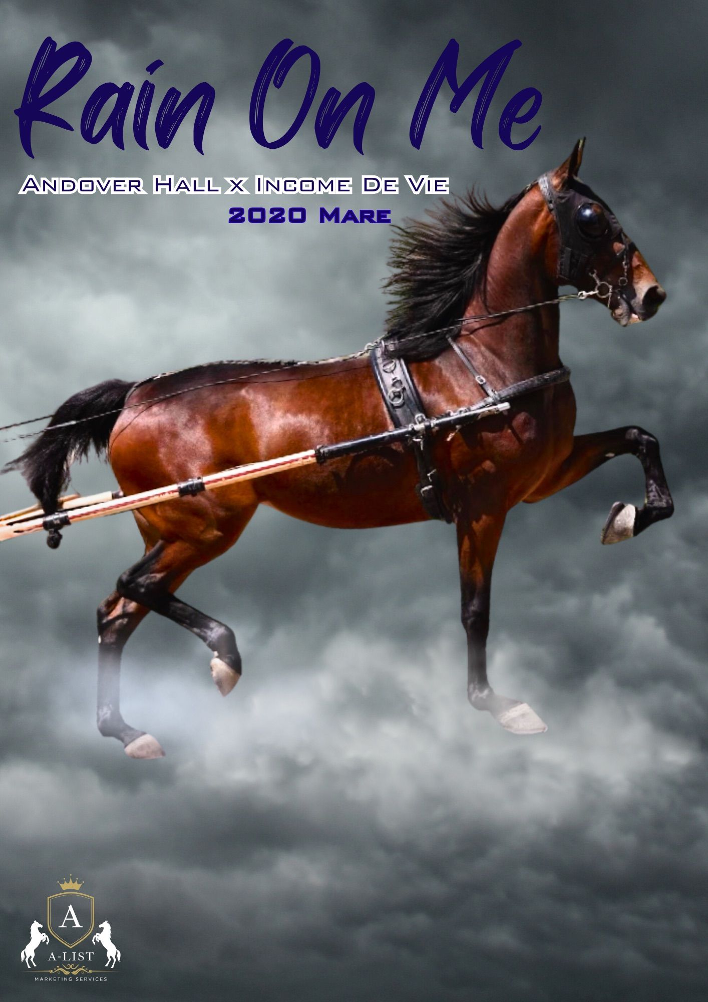 A sale ad of a horse