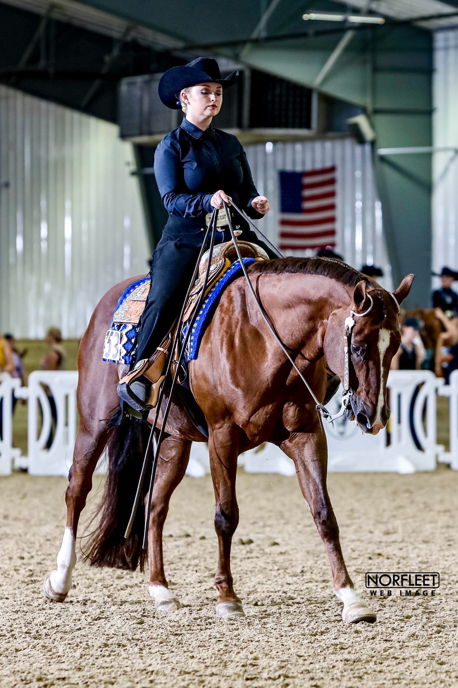 A sorrel gelding in a blue saddle pad and silver covered saddle