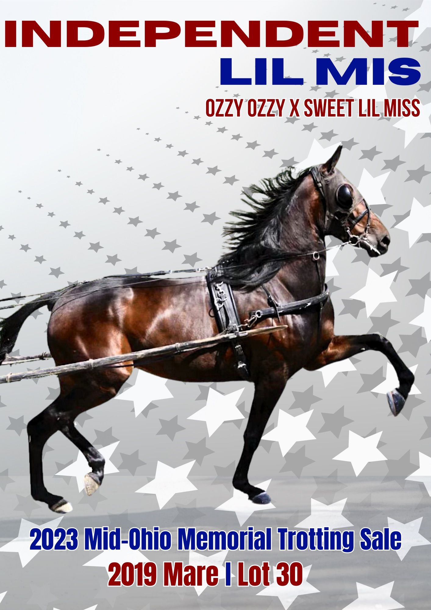 A sale ad of a horse