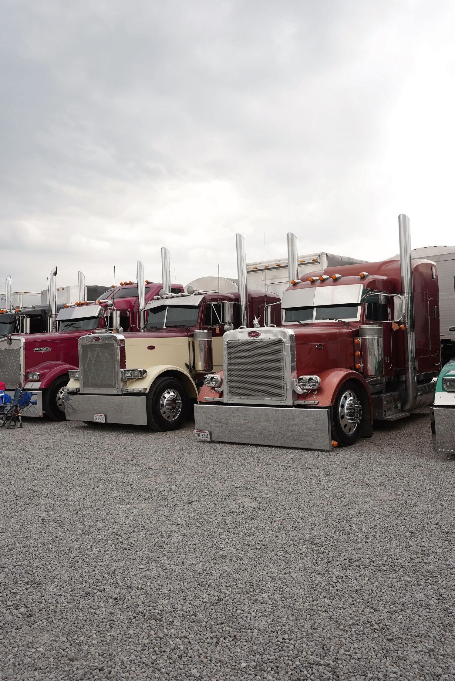 Peterbilts lined up at a truck show