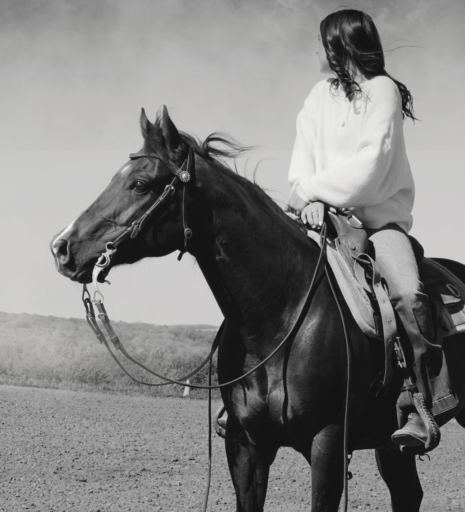 Horse and rider in black and white riding western