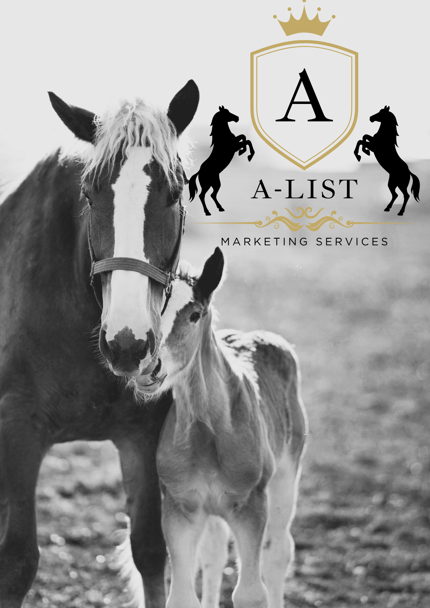 A mare and foal
