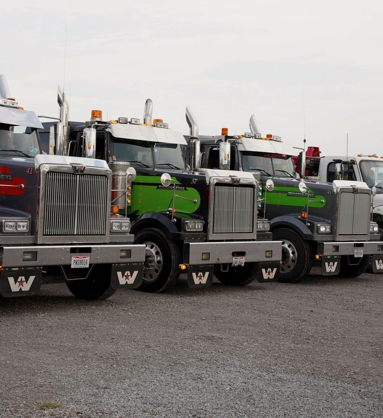 Western Star trucks lined up