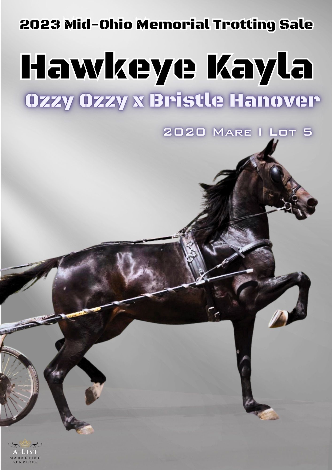 A sale ad of a horse