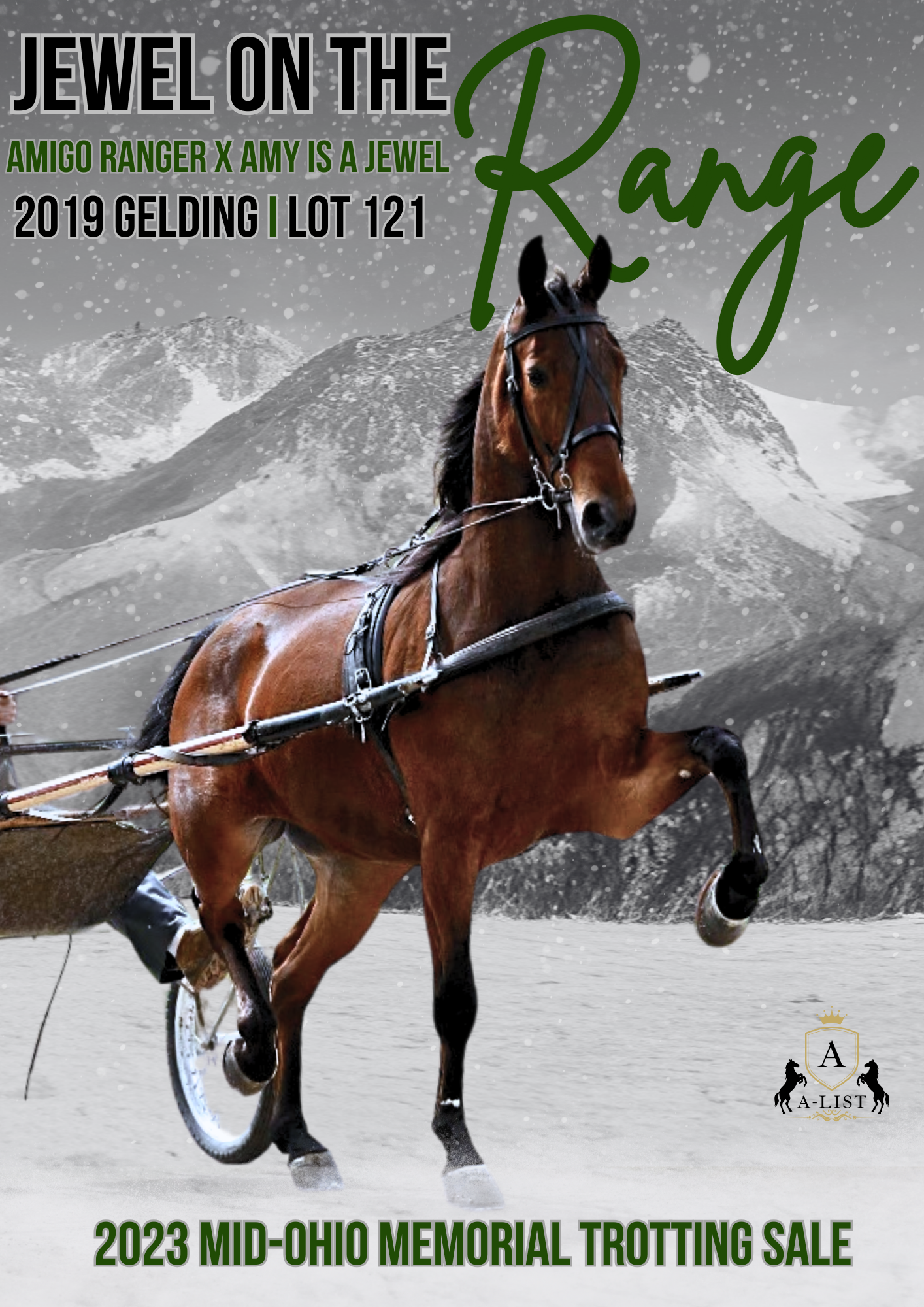 A sale ad of a horse