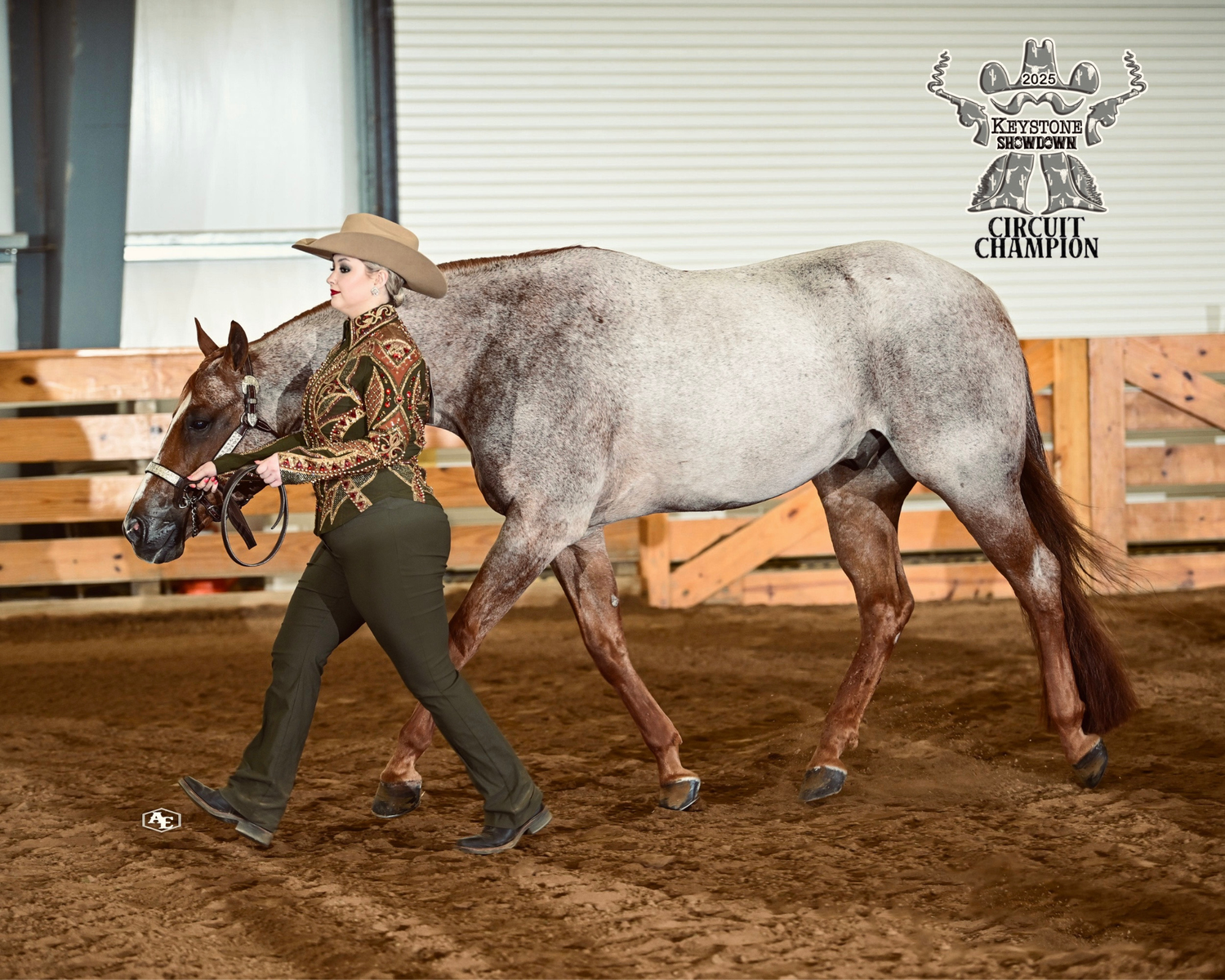 Red roan horse showing in showmanship