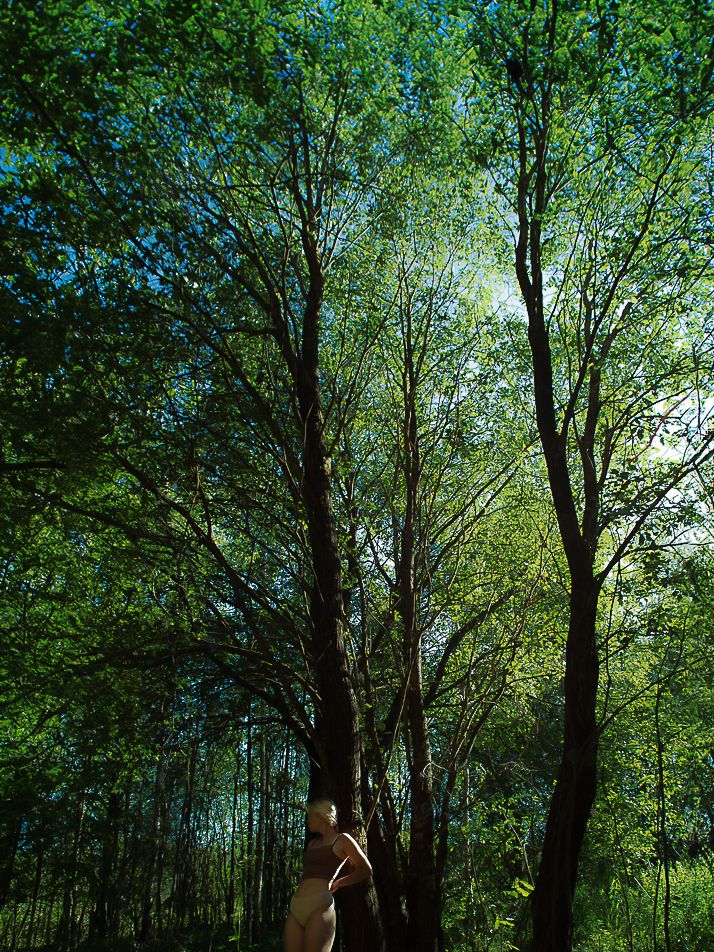 Nude figure standing among tall green trees in a sunlit forest with vibrant foliage overhead.