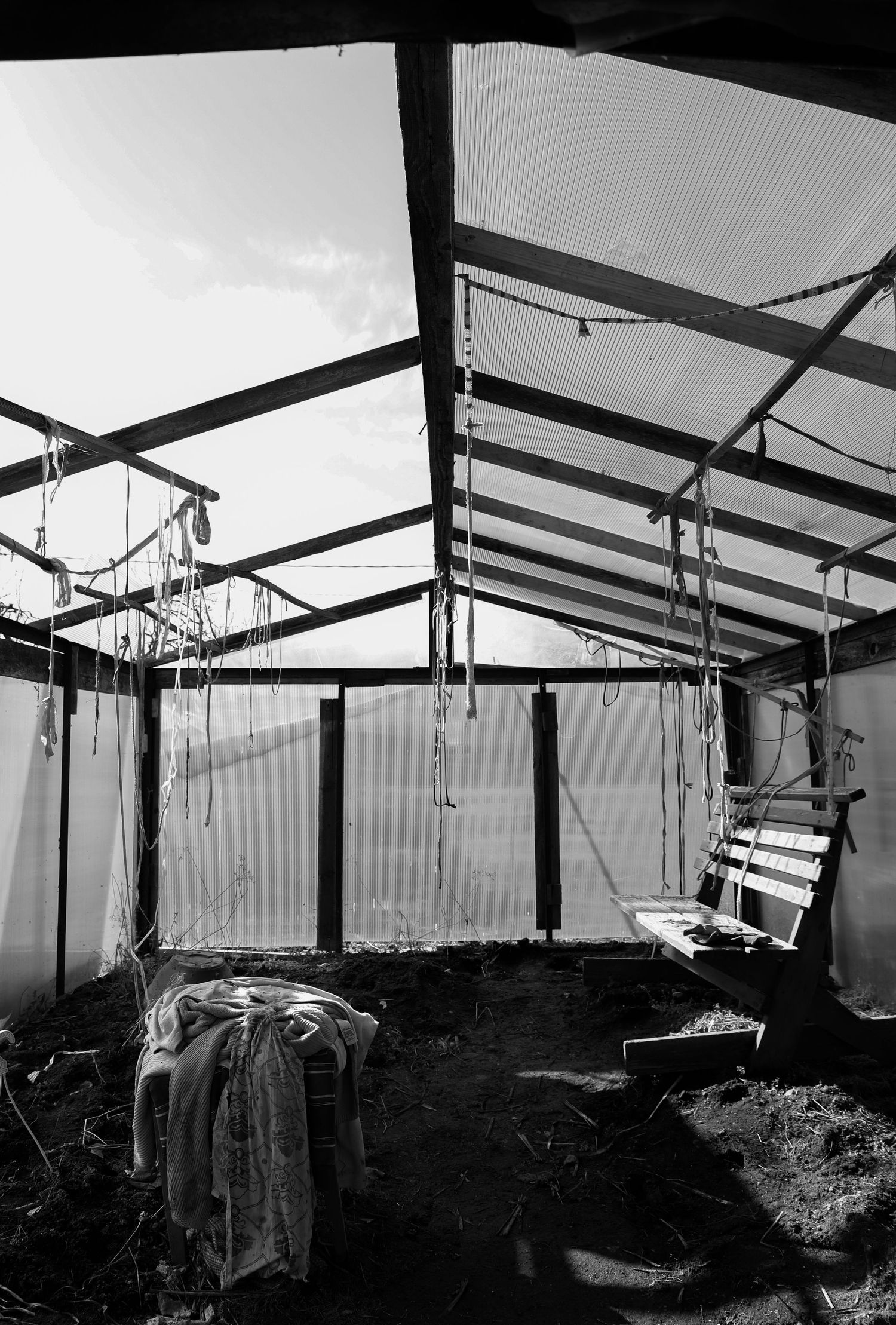 Abandoned greenhouse interior in black and white with hanging ropes, bench, and translucent corrugated roof panels.