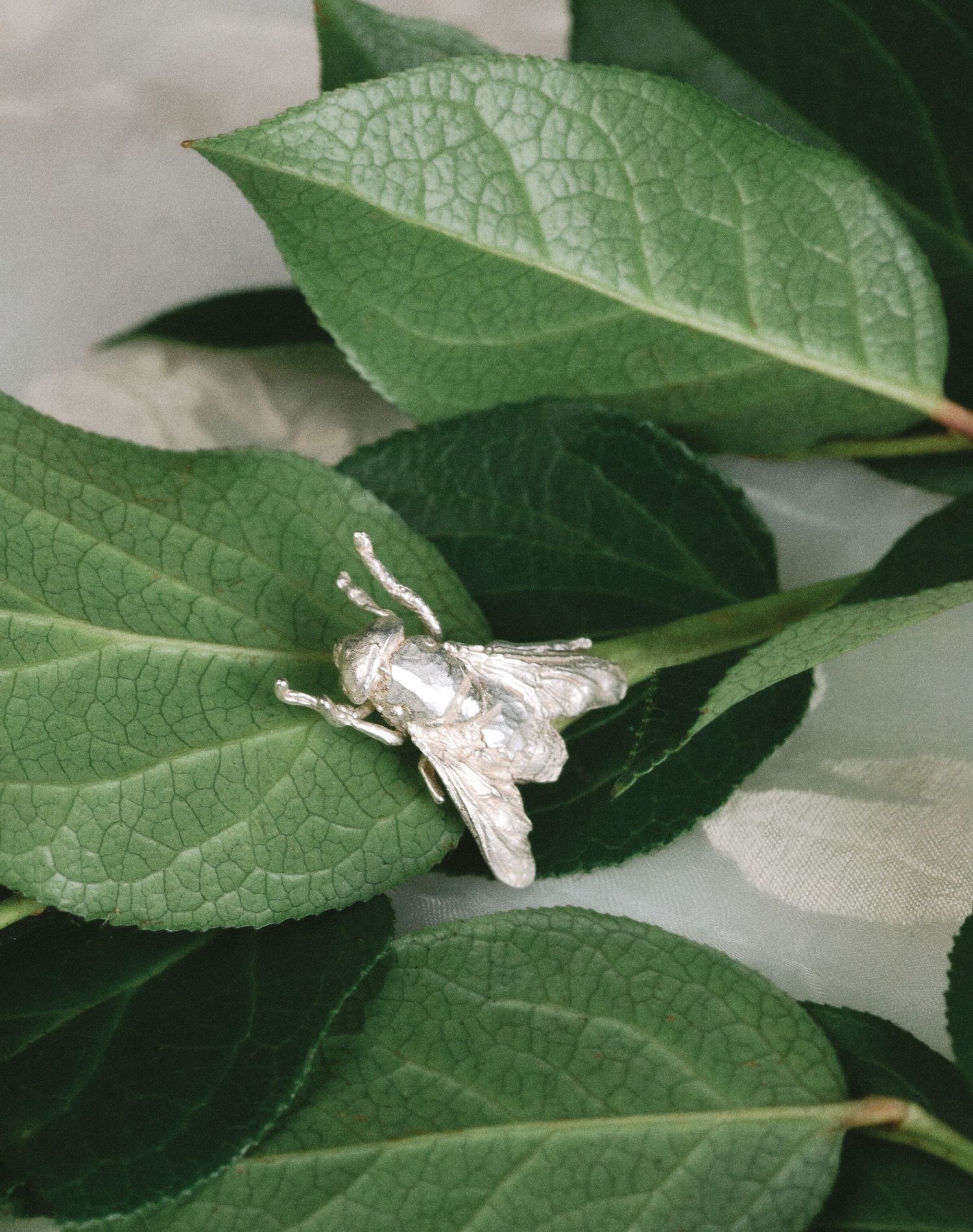 Silver insect brooch resting on green leaves, featuring detailed wings and antennae in a nature-inspired setting.