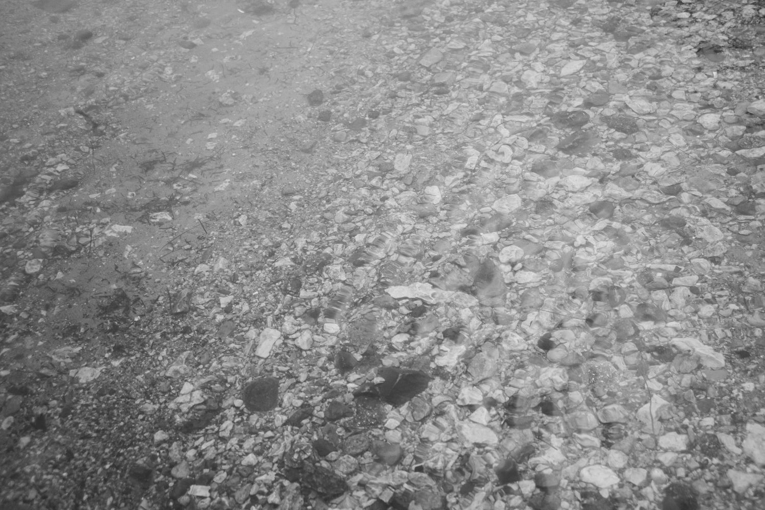 Black and white close-up photograph of scattered rocks and pebbles on rough ground texture.