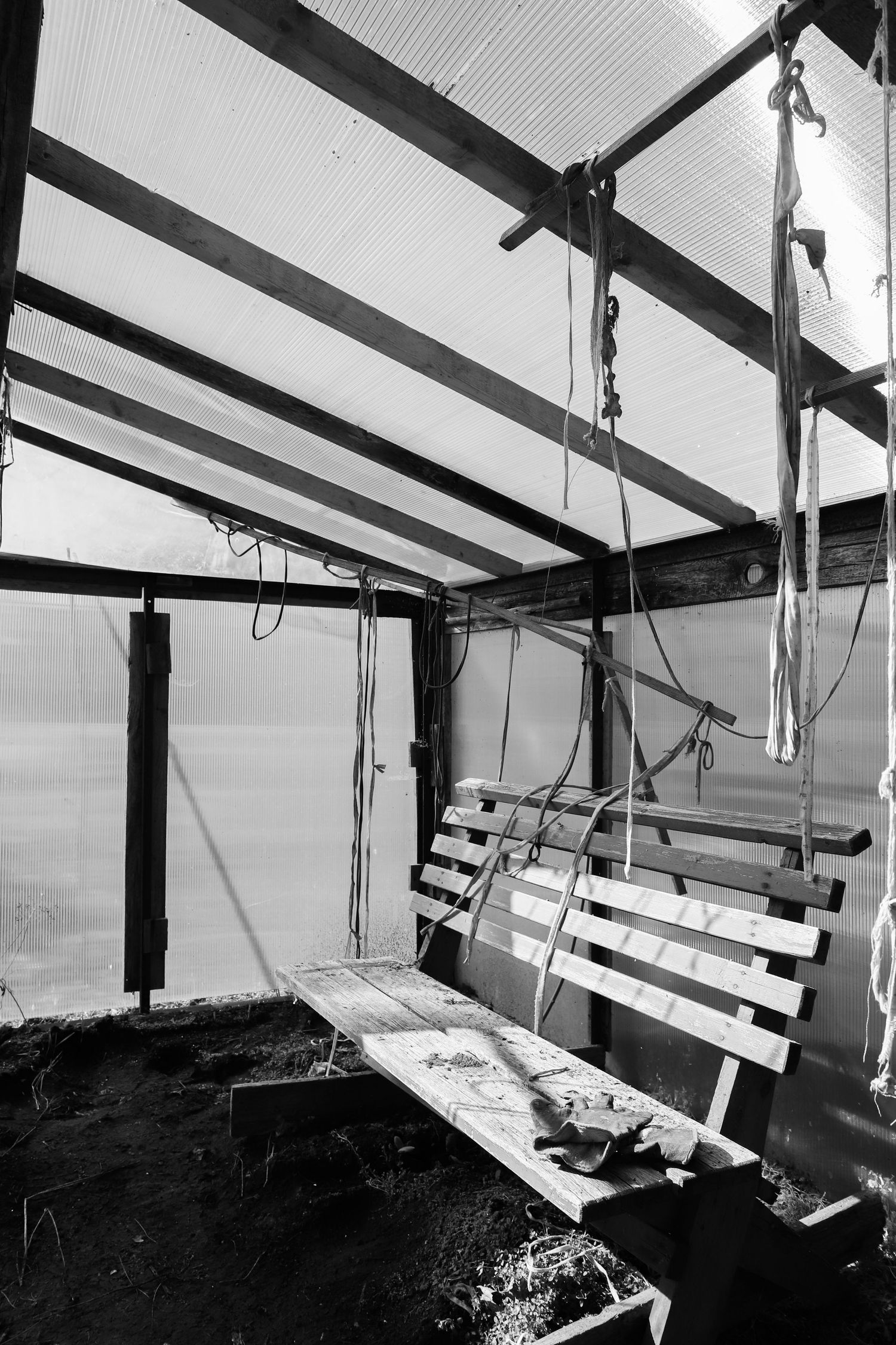 Black and white image of empty wooden bench swing inside a greenhouse with translucent polycarbonate walls.