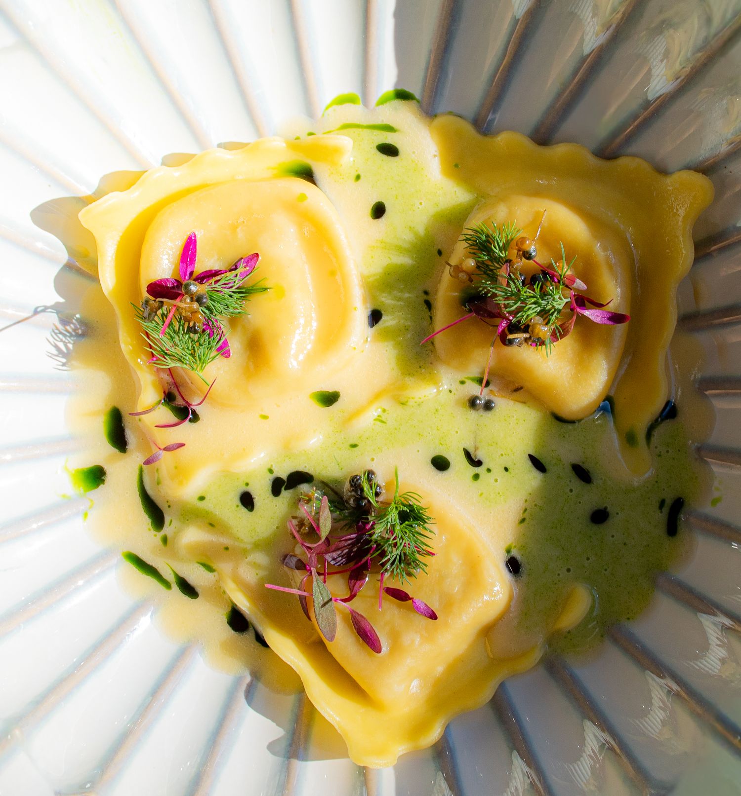 Elegant ravioli pasta dish garnished with edible flowers and microgreens in yellow sauce.