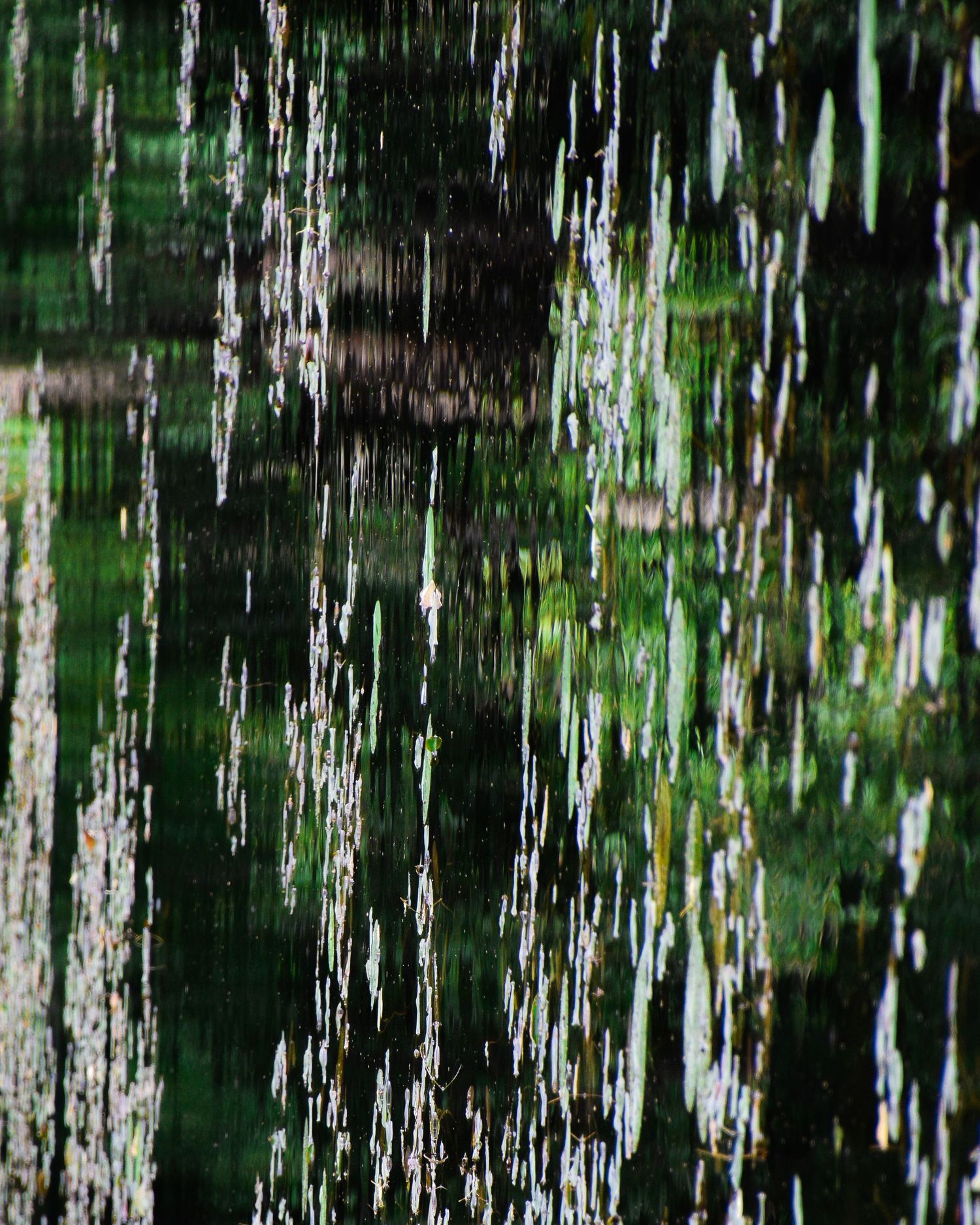 Abstract green and black water reflection creating vertical streaks pattern.