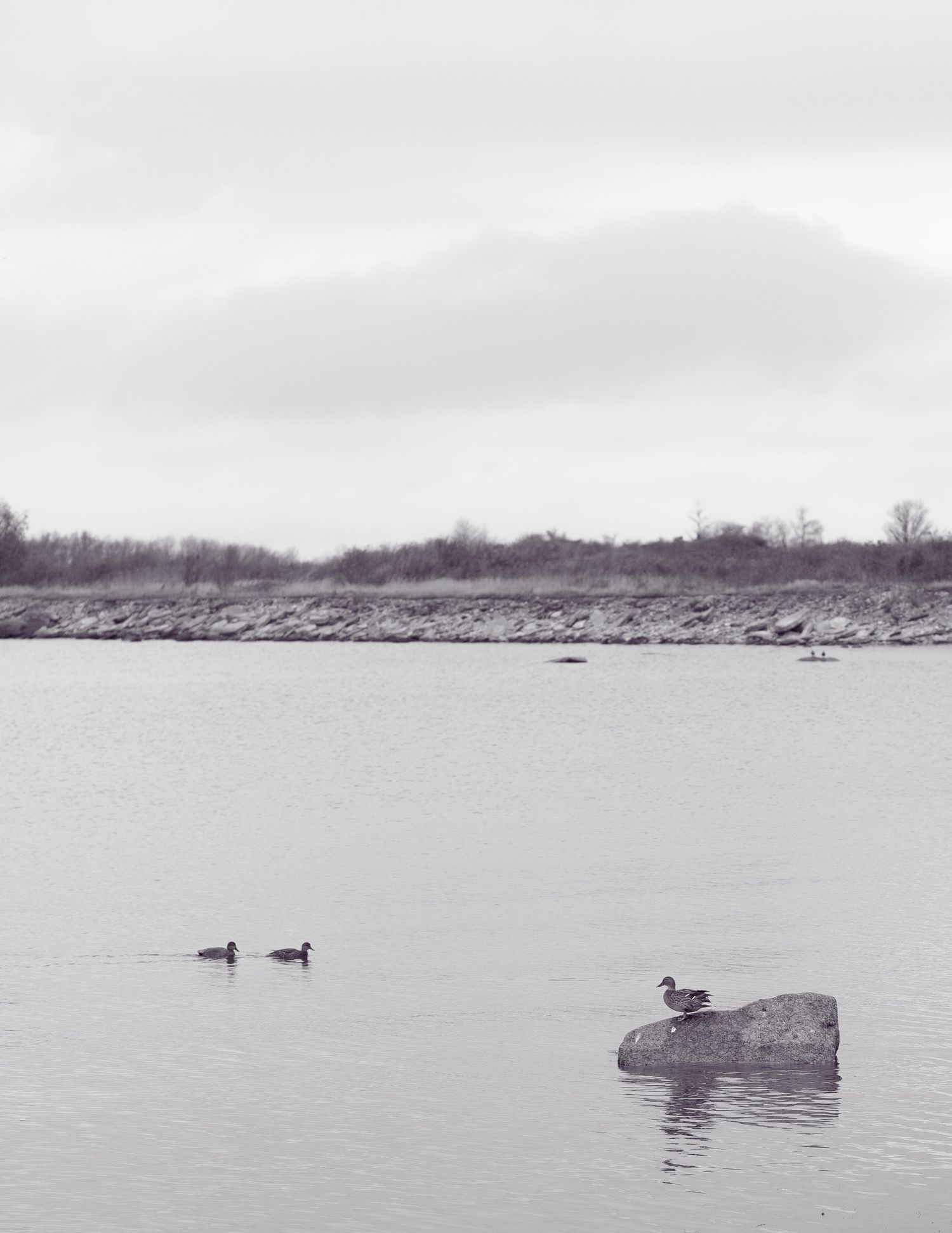 Soft moments, emotions and stories captured through my lens.