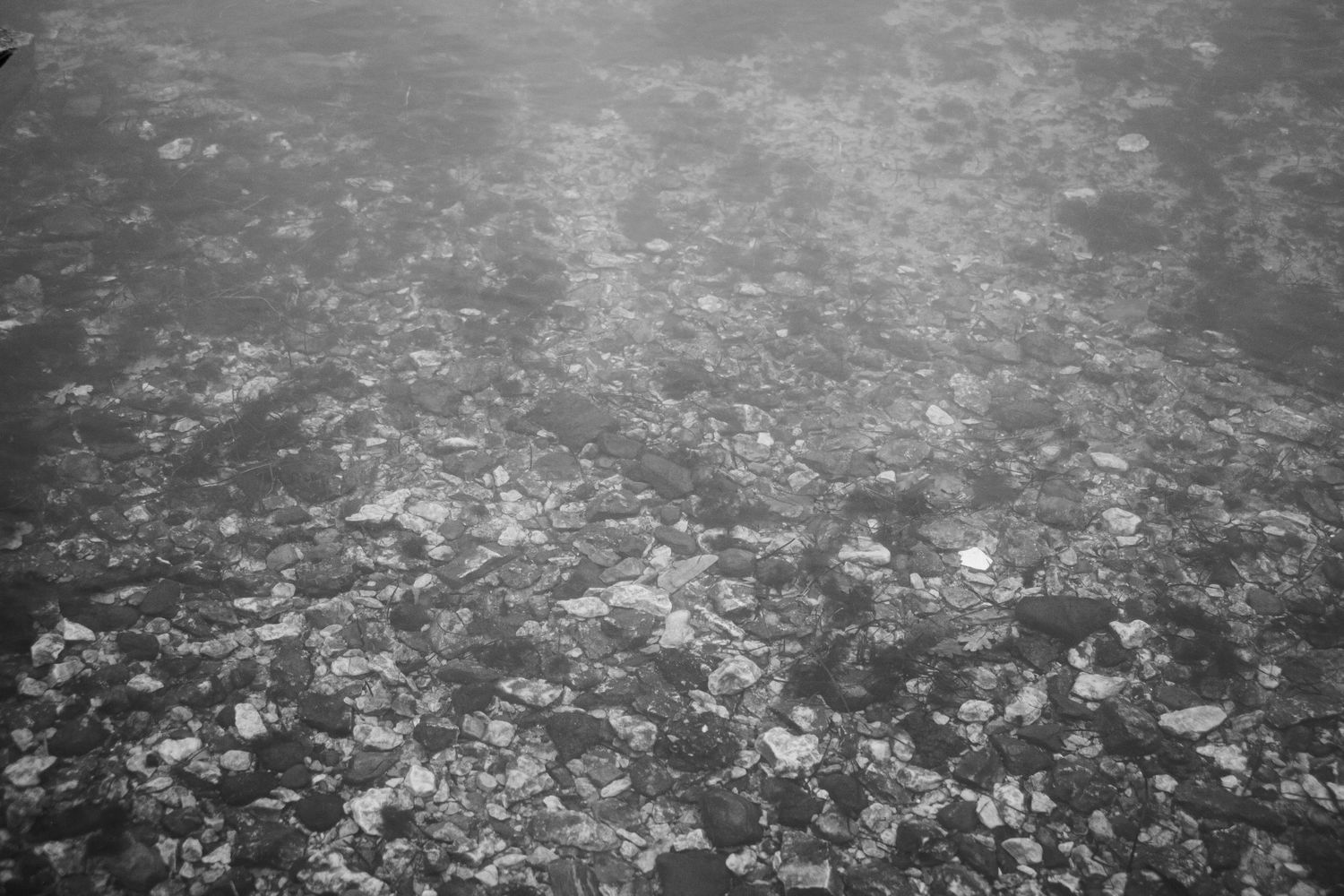 Aerial black and white photograph of scattered rocks and stones on a textured surface.