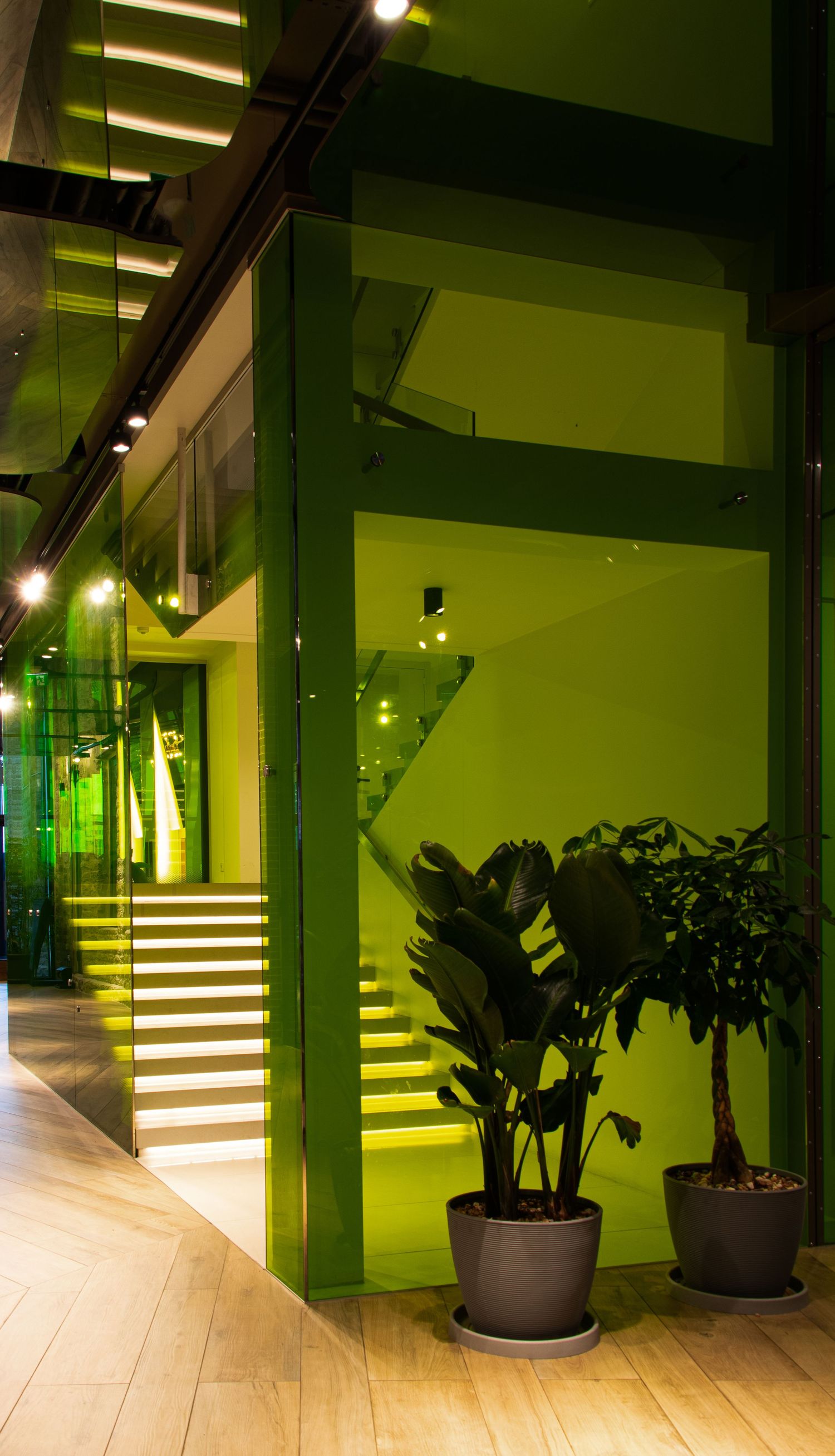 Modern interior hallway with vibrant green glass walls, illuminated staircase, and tropical potted plants on wood floor.