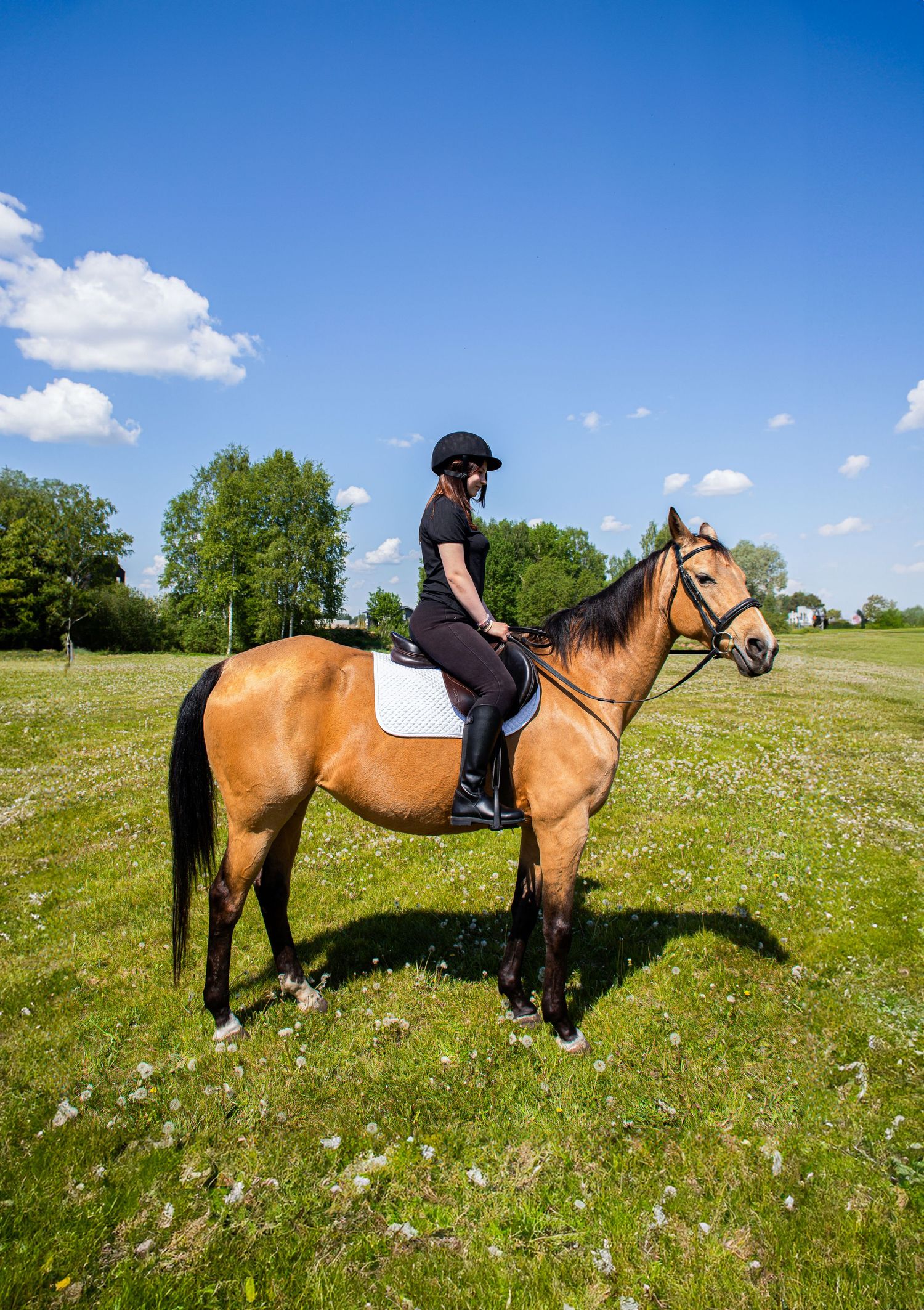 Female rider in black outfit and helmet riding a buckskin horse in a sunny green field.