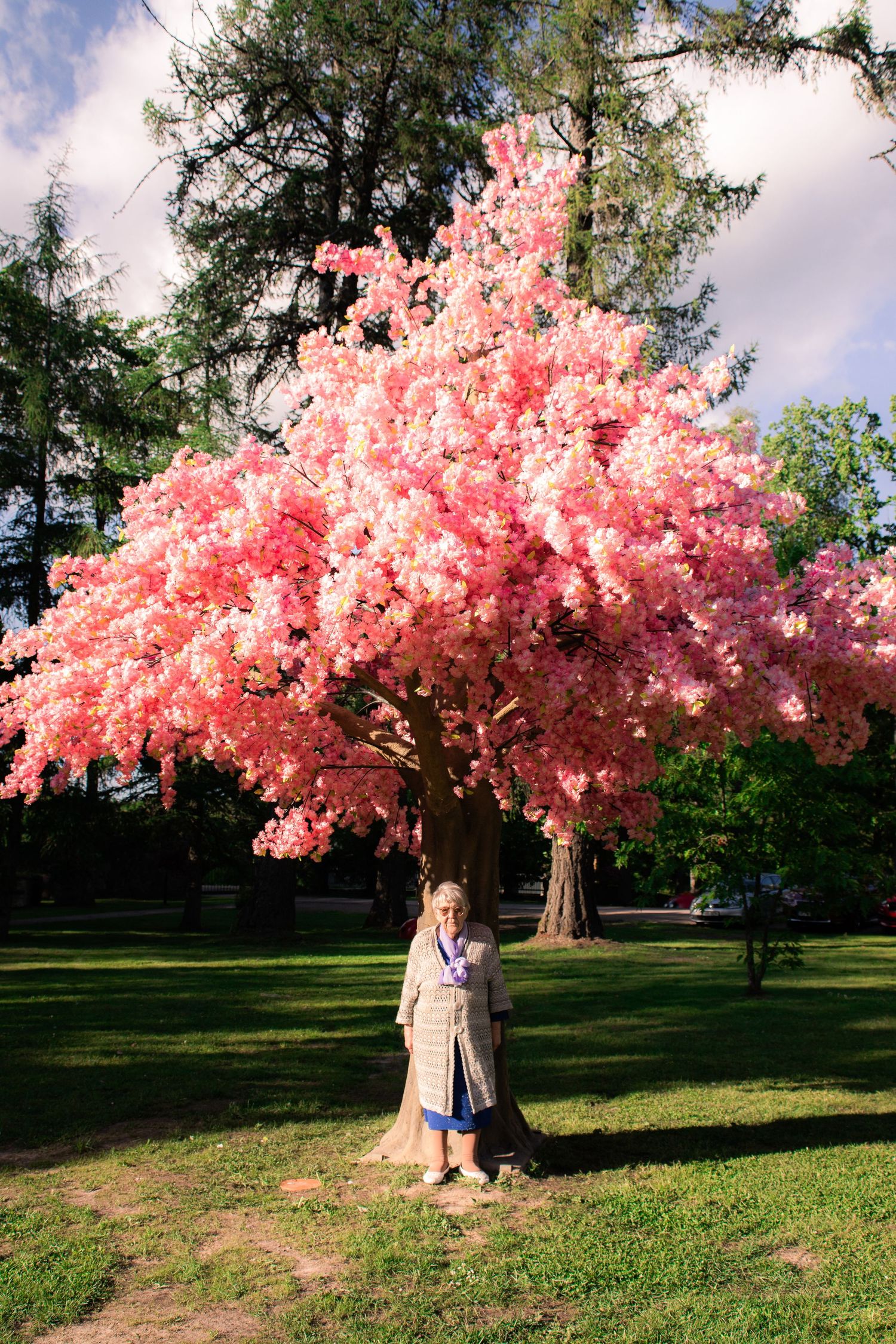 Woman standing under a large pink cherry blossom tree in a lush green park on a sunny day.
