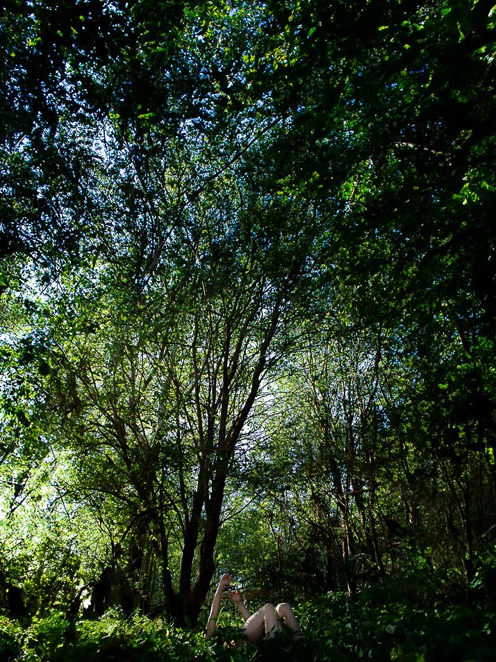 Dense green forest canopy with sunlight and a partially visible figure resting among lush foliage.