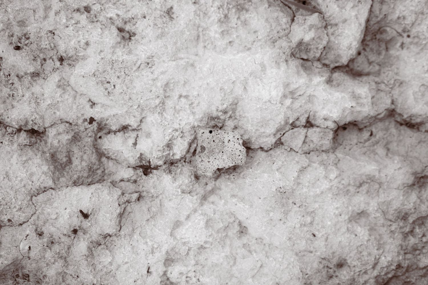 Close-up texture of cracked white stone or concrete surface with natural gray tones.