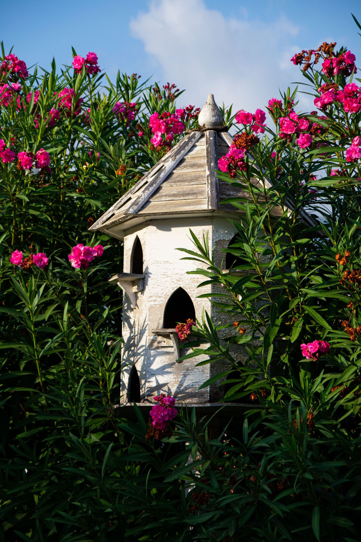 Decorative white wooden birdhouse surrounded by vibrant pink oleander flowers against a blue sky.