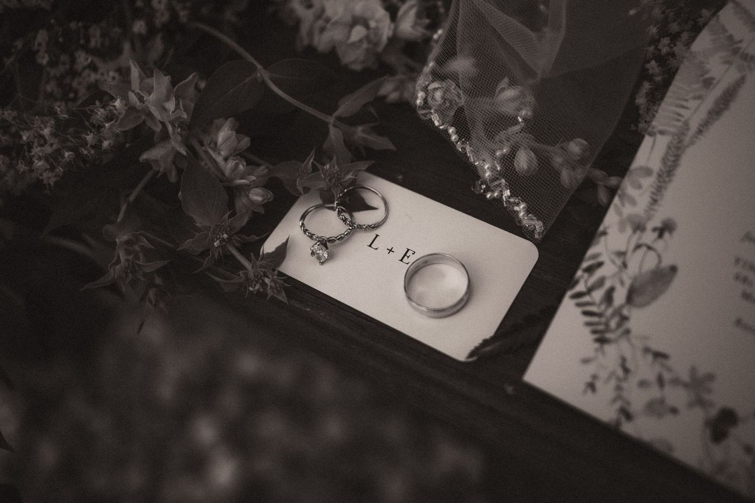 Pittsburgh elopement photo details