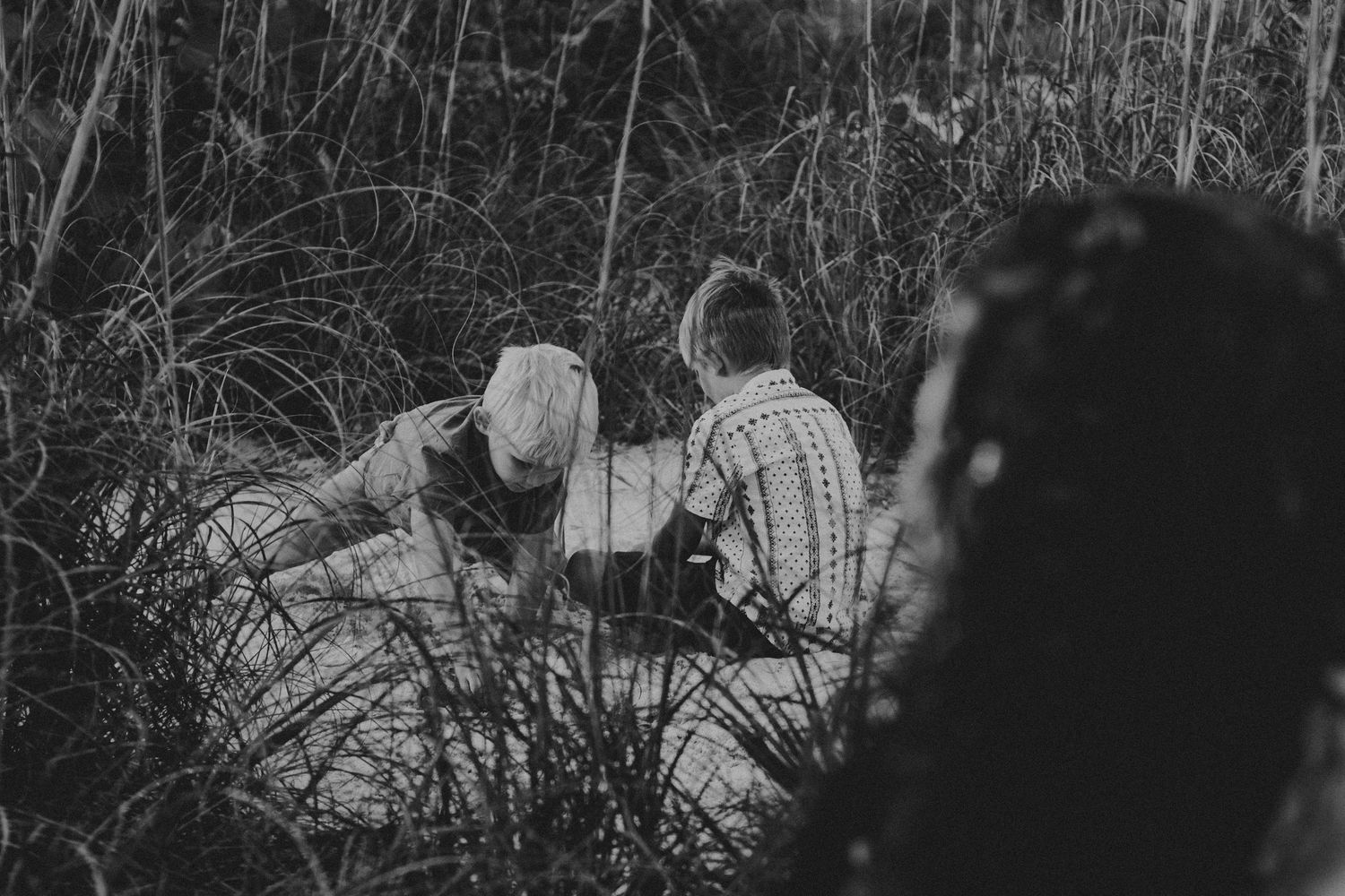 A black and white panoramic collage showing people in a forest setting with trees and natural elements.