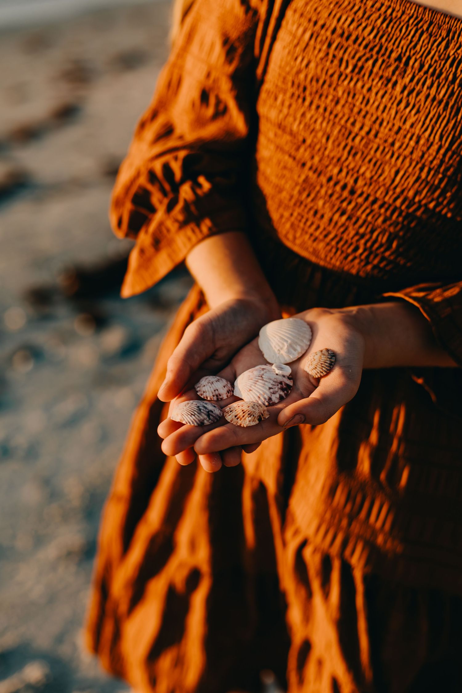 Person wearing orange knit dress holds small seashells in their cupped hands at the beach.