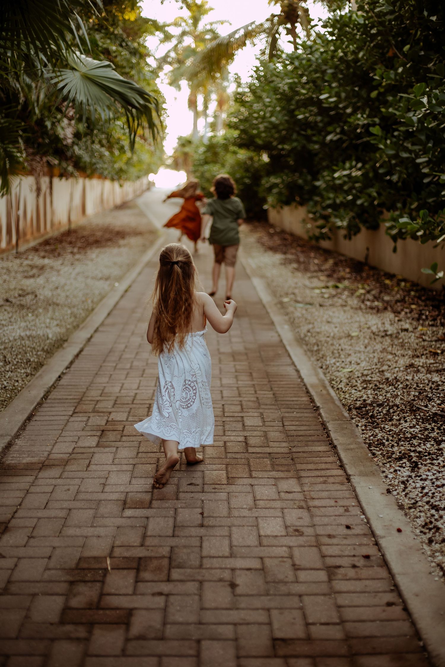 A sequence of photos showing a child walking away on a brick pathway lined with trees and fallen petals at sunset.