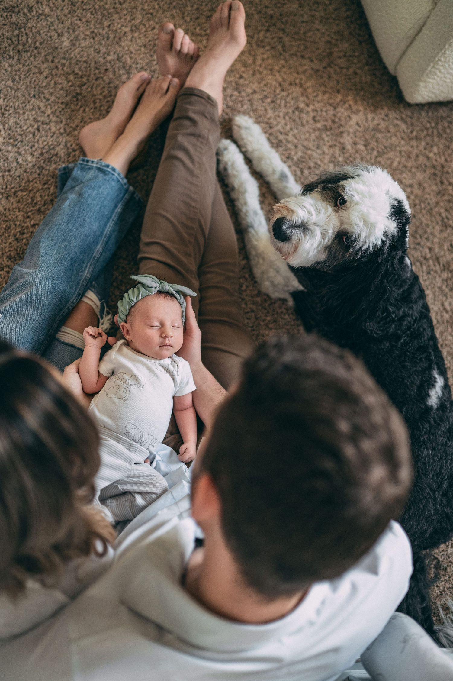 Bird's eye view of family relaxing on carpet with newborn baby and fluffy dog.