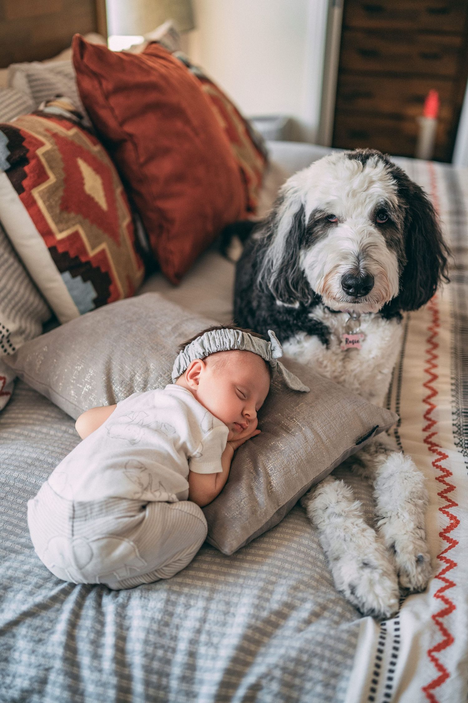 A black and white shaggy dog rests on a couch next to a baby in grey clothing.