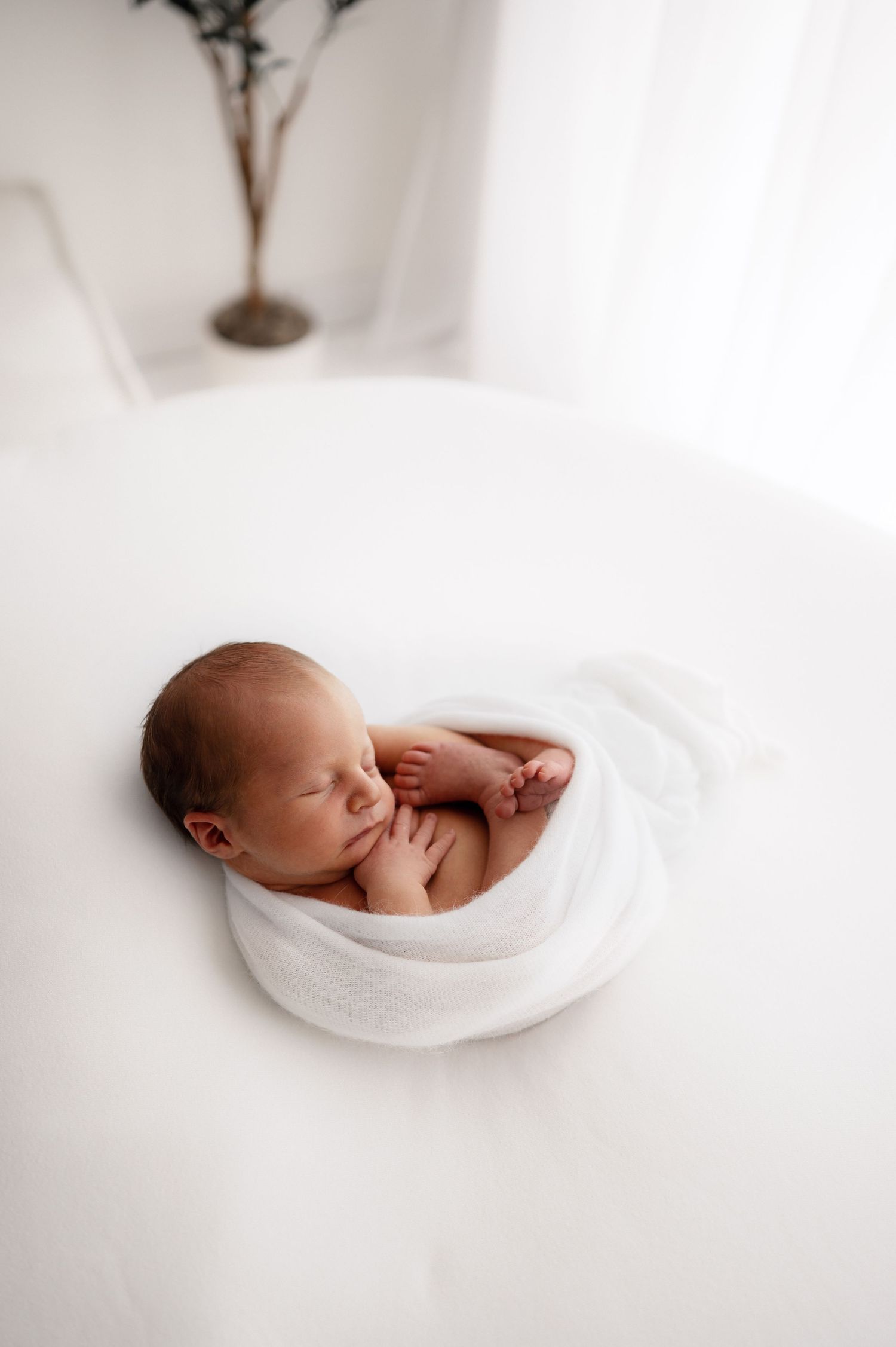 Sleeping newborn baby curled up in soft white fabric against light background in minimalist style portrait.