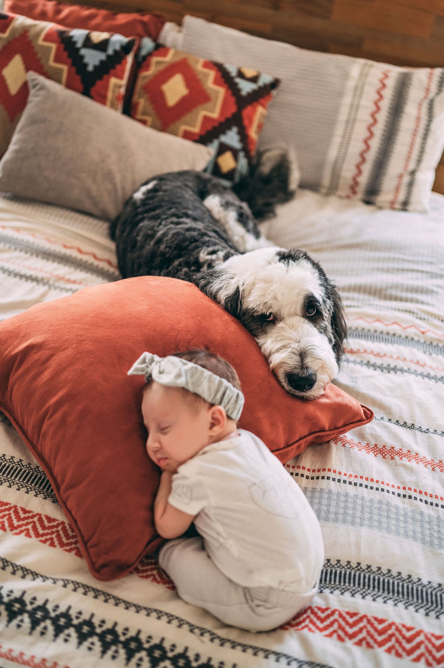A sleeping baby in white clothing cuddles next to a large dog on a colorful patterned bedspread.
