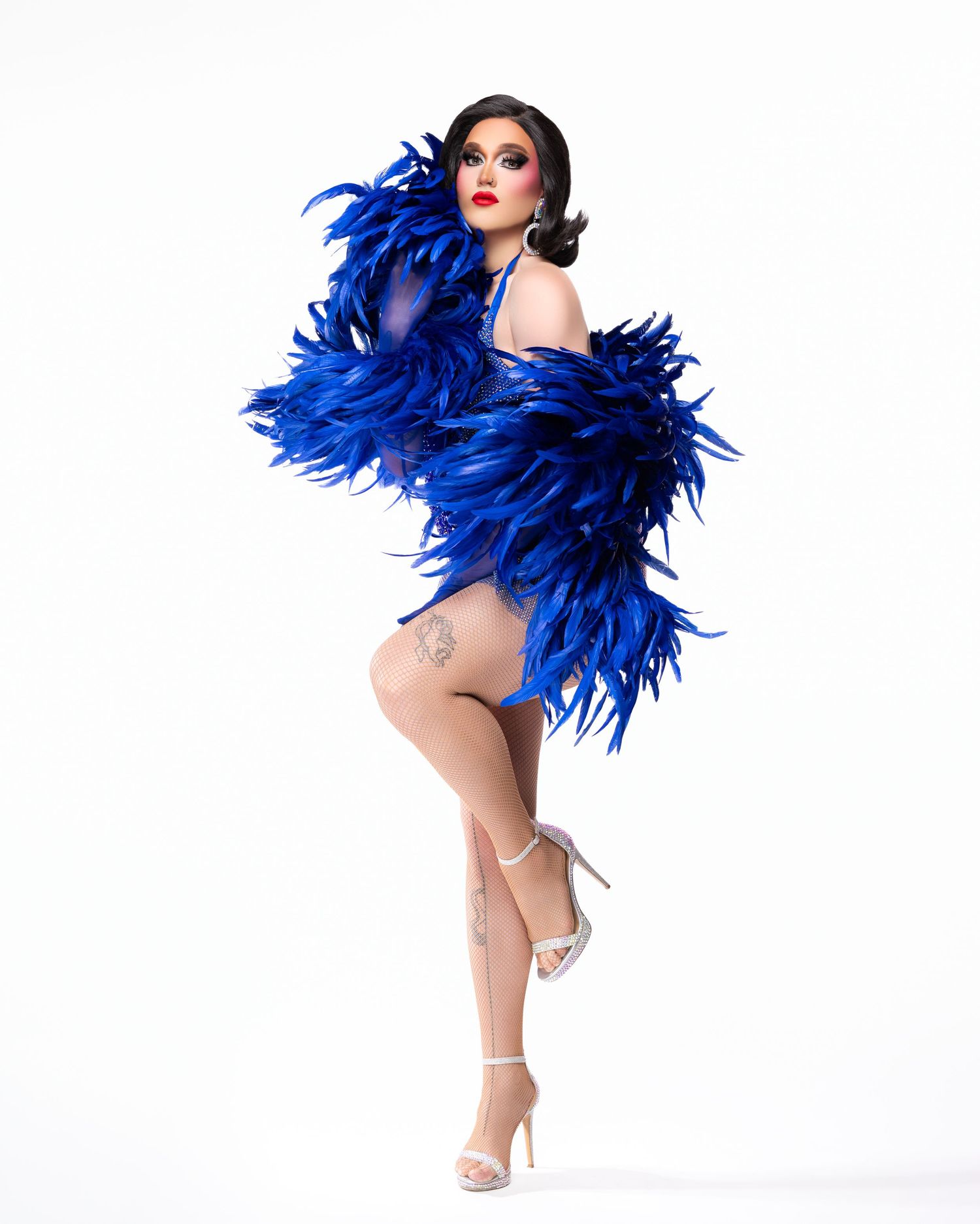 Performer in a striking royal blue feather outfit and heels poses elegantly against a white background.